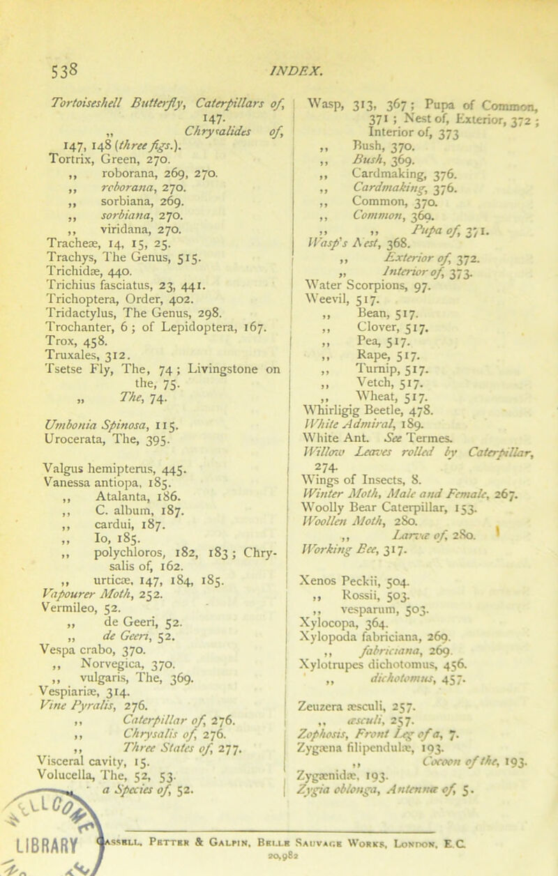 Tortoiseshell Butterfly, Caterpillars of, 147. „ Chrysalides of, 147, 148 (threeflgs.). Tortrix, Green, 270. ,, roborana, 269, 270. ,, reborana, 270. ,, sorbiana, 269. ,, sorbiana, 270. ,, viridana, 270. Tracheæ, 14, 15, 25. Trachys, The Genus, 515. Trichidæ, 440. Trichius fasciatus, 23, 441. Trichoptera, Order, 402. Tridactylus, The Genus, 298. Trochanter, 6; of Lepidoptera, 167. Trox, 458. Truxales, 312. Tsetse Fly, The, 74 ; Livingstone on the, 75. „ The, 74. Umbonia Spinosa, 115. Urocerata, The, 395. Wasp, 313, 367 ; Pupa of Common, 371 ; Nestof, Exterior, 372 ; Interior of, 37-5 ,, Bush, 370. „ Bush, 369. ,, Cardmaking, 376. ,, Cardmaking, 376. ,, Common, 370. ,, Common, 369. .. .» Bitpa of, 371. Wasp's A est, 368. ,, Exterior of, 372. j „ Interior of, 373. i Water Scorpions, 97. Weevil, 517. ,, Bean, 517. ,, Clover, 517. „ Pea, 517. „ Râpe, 517. „ Tumip, 517. „ Vetch, 517. „ Wheat, 517. Whirligig Beetle, 478. White Admirai, 1S9. White Ant. See Termes. Willoîo Leaves rolled by Caterpillar, Valgus hemipterus, 445. Vanessa antiopa, 185. ,, Ataianta, 186. ,, C. album, 187. ,, cardui, 187. „ Io, 185. ,, polychloros, 182, 183 ; Chry- salis of, 162. ,, unies, 147, 184, 185. Vapourer Mot h, 252. Vermileo, 52. „ de Geeri, 52. „ de Geeri, 52. Vespa crabo, 370. ,, Norvegica, 370. „ vulgaris, The, 369. Vespiariæ, 314. Vitie Pyralis, 276. ,, Caterpillar of, 276. ,, Ch rysa lis of, 276. ,, Three States of, 277. Viscéral cavity, 15. Volucella, The, 52, 53. ■■ • a Species of, 52. ^ LIBRARY t SSRLL. PbTTER & GaLPJN. I 274. j Wings of Insects, 8. Winter Moth, Male and Fcmale, 267. Woolly Bear Caterpillar, 153. Woollen Moth, 280. ,, Larme of, 280. ' Working Ece, 317. Xenos Peckii, 504. ,, Rossii, 503. ,, vesparum, 503. Xylocopa, 364. Xylopoda fabriciana, 269. ,, fabriciana, 269. Xylotrupes dichotomus, 456. ,, dichotomus, 457. [ Zeuzera æsculi, 257. ,, ersculi, 257. Zophosis, Front Ixg of a, y. Zygæna filipendulæ, 193. ,, Cocoon of the, 193. Zygænidæ. 193. j Zygia oblonga, Antenna of, 5. ei.lr Sauvage Works, London, E.G 20,982