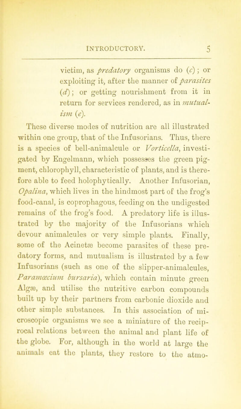 victim, as predatory organisais do (c) ; or exploiting it, after the ruanner of parasites (d) ; or getting nourishment from ifc in return for services rendered, as in mutual- isrn (e). These diverse modes of nutrition are ail illustrated within one group, that of the Infusorians. Tlius, there is a species of bell-animalcule or Vorticella, investi- gated by Engelmann, which possesses the green pig- ment, chlorophyll, cbaracteristic of plants, and is there- fore able to feed holophytically. Another Infusorian, Opalina, which lives in the hindmost part of the frog’s food-canal, is coprophagous, feeding on the undigested remains of the frog’s food. A predatory life is illus- trated by the majority of the Infusorians which devour animalcules or very simple plants. Finally, some of the Acinetæ become parasites of these pre- datory forms, and mutualism is illustrated by a few Infusorians (such as one of the slipper-animalcules, Paramœcium bursaria), which contain minute green Algæ, and utilise the nutritive carbon compounds built up by their partners from carbonic dioxide and other simple substances. In this association of mi- croscopie organisms we see a miniature of the recip- rocal relations between the animal and plant life of the globe. For, although in the world at large the animais cat the plants, they restore to the atmo-