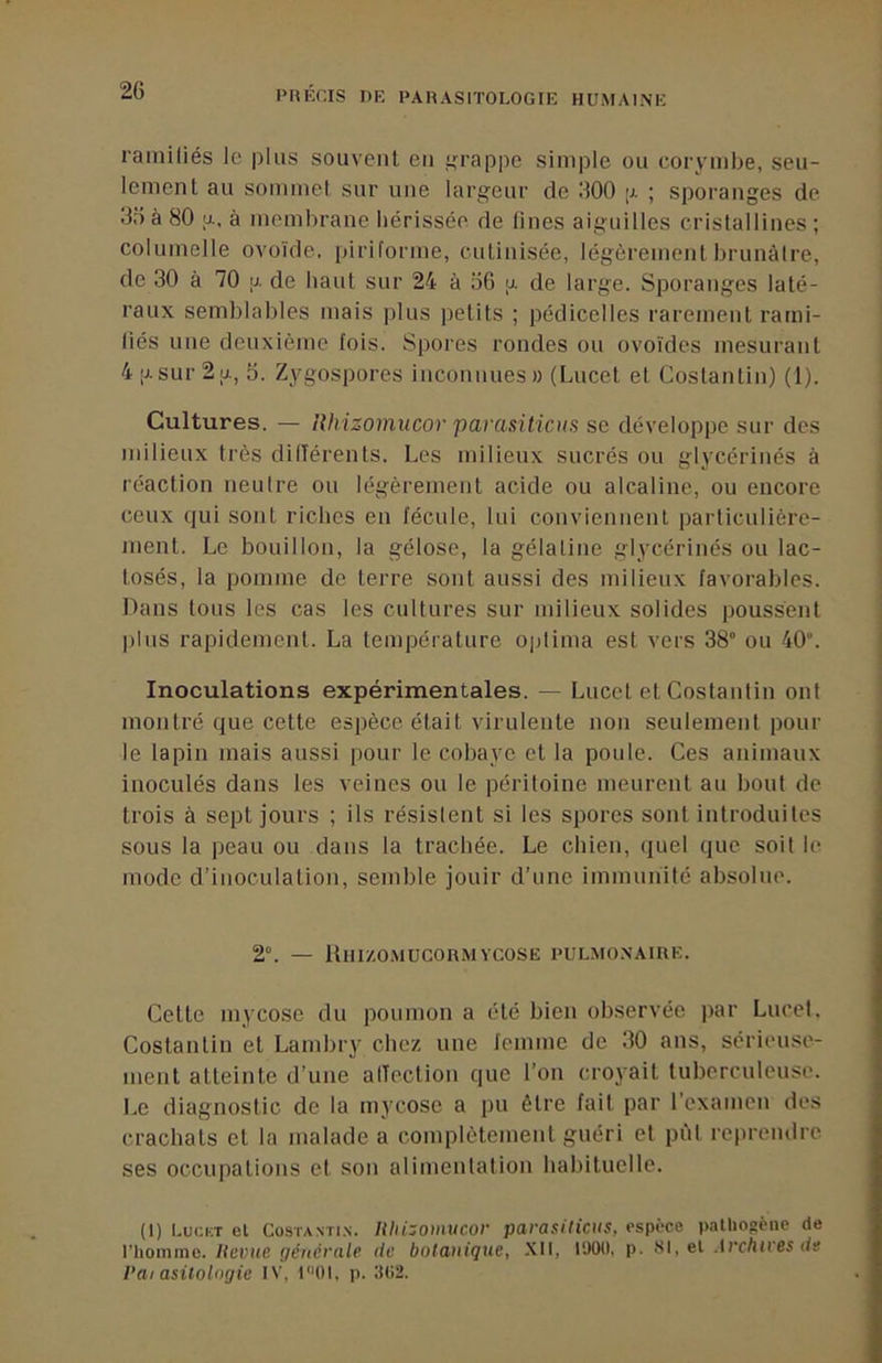 ramifiés le plus souvent en i^rappe simple ou corymbe, seu- lement au sommet sur une largeur de 300 [j. ; sporanges de 3ü à 80 a, à membrane hérissée de fines aiguilles cristallines ; columelle ovoïde, piriforme, cutinisée, légèrement brunâtre, de 30 à 70 u. de haut sur 24 à o6 u de large. Sporanges laté- raux semblables mais plus petits ; pédicelles rarement rami- fiés une deuxième fois. Spores rondes ou ovoïdes mesurant 4 ;j.sur 2a, 5. Zygospores inconnues» (Lucet et Costantin) (1). Cultures. — Rhizomucor parasiticus se développe sur des milieux très dillérents. Les milieux sucrés ou glycériués à réaction neutre ou légèrement acide ou alcaline, ou encore ceux qui sont riches en fécule, lui conviennent particulière- ment. Le bouillon, la gélose, la gélatine glycériués ou lac- tosés, la pomme de terre sont aussi des milieux favorables. Dans tous les cas les cultures sur milieux solides poussent plus rapidement. La température o|jtima est vers 38° ou 40°. Inoculations expérimentales. — Lucet et Costantin ont montré que cette espèce était virulente non seulement pour le lapin mais aussi pour le cobaye et la poule. Ces animaux inoculés dans les veines ou le péritoine meurent au bout de trois à sept jours ; ils résistent si les spores sont introduites sous la peau ou dans la trachée. Le chien, quel que soit le mode d’inoculation, semble jouir d’une immunité absolue. 2°. — UllIZO.MUCORMVCOSE PULMONAlllE. Celte mycose du poumon a été bien observée par Lucet. Costantin et Lambry chez une femme de 30 ans, sérieuse- ment atteinte d’une alTeclion que l’on croyait tuberculeuse. Le diagnostic de la mycose a pu être fait par l’examen des crachats et la malade a complètement guéri et put reprendre ses occupations et son alimentation habituelle. (1) Luci;t el Costantin. liliizotmicor parasUicus, espèce paUiogèiie de l’homme, lievue générale de botanique, XII, l!)00, p. Si, el .irchires de l’ai asiiologie IV, l0l, p. 3(12.