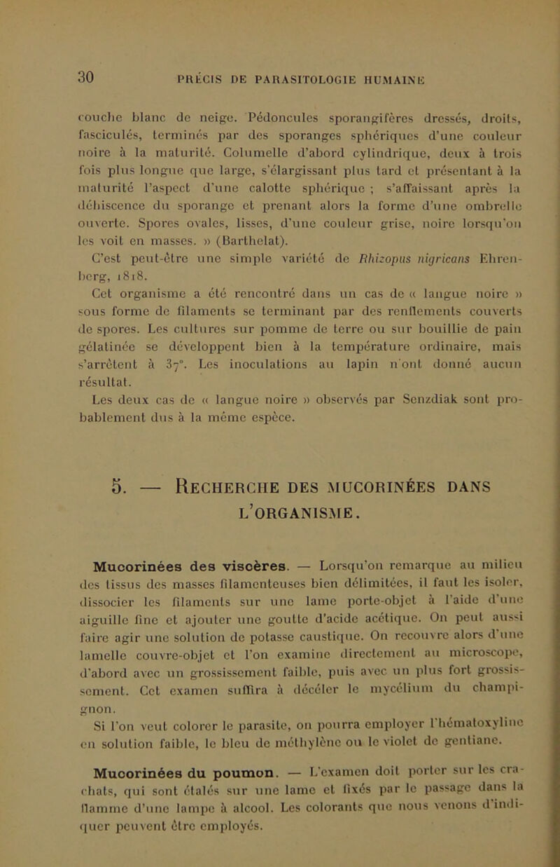 couclic blanc de neige. Pédoncules sporangifères dressés, droits, fasciciilés, terminés par des sporanges sphériques d’une couleur noire à la maturité. Columelle d’abord cylindrique, deux à trois fois plus longue que large, s’élargissant plus tard et présentant à la maturité l’aspect d'une calotte sphérique ; s’affaissant après la déhiscence du sporange et prenant alors la forme d’une ombrelle ouverte. Spores ovales, lisses, d’une couleur grise, noire lorsqu’on les voit en masses. » (Barthelat). C’est peut-être une simple variété de Rhizopus nigricans Ehren- berg, 1818. Cet organisme a été rencontré dans un cas de « langue noire » sous forme de filaments se terminant par des renflements couverts de spores. Les cultures sur pomme de terre ou sur bouillie de pain gélatince se développent bien à la tempiérature ordinaire, mais s’arrêtent à 87°. Les inoculations au lajiin n'ont donné aucun résultat. Les deux cas de « langue noire » observés par Scnzdiak sont pro- bablement dus à la même espèce. 5. — Recherche des mucorinées dans l’organisme. Mucorinées des viscères. — Lorsqu’on remarque au milieu des tissus des masses filamenteuses bien délimitées, il faut les isoler, dissocier les filaments sur une lame ijorte-objct à l’aide d’une aiguille fine et ajouter une goutte d’acide acétique. On peut aussi faire agir une solution de potasse caustique. On recouvre alors d une lamelle couvre-objet et l’on examine directement au microscope, d'abord avec un grossissement faible, puis avec un plus fort grossis- sement. Cet examen suffira à décéler le mycélium du champi- gnon. Si l’on veut colorer le parasite, on pourra employer l’hématoxylinc en solution faible, le bleu de méthylène ou le violet de gentiane. Mucorinées du poumon. — L’examen doit porter sur les cra- chats, qui sont étalés sur une lame et fixés par le passage dans la flamme d’une lampe è alcool. Les colorants que nous venons d indi- quer peuvent être employés.