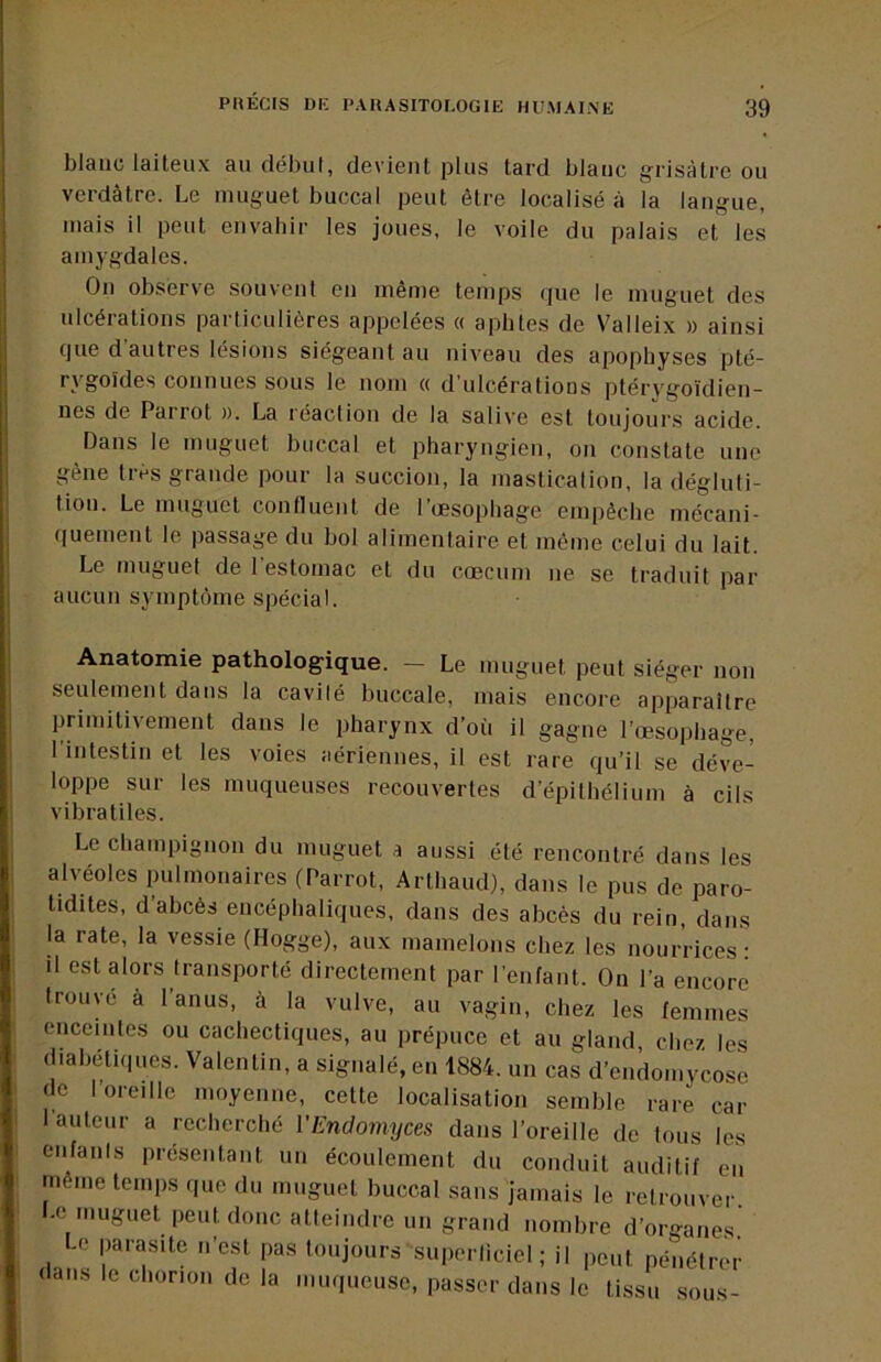 blanc laiteux au début, devient plus tard blauc grisâtre ou verdâtre. Le muguet buccal peut être localisé à la langue, mais il peut euvaliir les joues, le voile du palais et les amygdales. Ou observe souvent eu même temps (|ue le muguet des ulcérations particulières appelées « aphtes de Valleix » ainsi cjue d autres lésions siégeant au niveau des apophyses pté- rygoïdes connues sous le nom « d’ulcérations ptérygoïdieu- nes de Parrot ». La réaction de la salive est toujours acide. Dans le muguet buccal et pharyngien, ou constate une gène très grande pour la succion, la masticalion, la dégluti- tion. Le muguet conllueut de l’oesophage empêche mécani- quement le passage du bol alimentaire et même celui du lait. Le muguet de 1 estomac et du cæcum ne se traduit par aucun symptôme spécial. Anatomie pathologique. — Le muguet peut siéger non seulement dans la cavilé buccale, mais encore apparaître primitivement dans le pharynx d’où il gagne l’œsophage, l'intestin et les voies aériennes, il est rare qu’il se déve-^ loppe sur les muqueuses recouvertes d’épithélium à cils vibratiles. Le champignon du muguet a aussi été rencontré dans les alvéoles pulmonaires (Parrot, Arthaud), dans le pus de paro- tidites, d’abcès encéphaliques, dans des abcès du rein, dans la rate, la vessie (Hogge), aux mamelons chez les nourrices: d est alors transporté directement par l’enfant. On l’a encore trouvé à l’anus, à la vulve, au vagin, chez les femmes enceintes ou cachectiques, au prépuce et au gland, chez les diabétiques. Valentin, a signalé, en 1884. un cas d’cndomycose de l’oreille moyenne, cette localisation semble rare car 1 auteur a recherché VEndomyces dans l’oreille de tous les enfanis présentant un écoulement du conduit auditif en même temps (pie du muguet buccal sans jamais le retrouver. -c muguet peut donc atteindre un grand nombre d’organes Le parasite n’est pas toujours snpcrlicicl ; il peut pénétiær dans le chorion de la muqueuse, passer dans le tissu .sous-