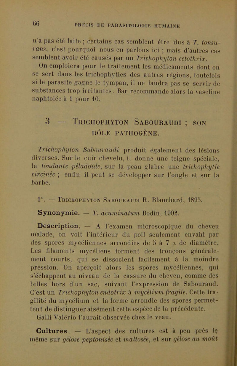 n’a pas été faite ; certains cas semblent être dus à T. tonsu- rans, c’est pourquoi nous en parlons ici ; mais d’autres cas semblent avoir été causés par un Trichophyton ectolhrix. On emploiera pour le traitement les médicaments dont on se sert dans les tricliopbyties des antres régions, toutefois si le parasite gagne le tympan, il ne faudra pas se servir de substances trop irritantes. Bar recommande alors la vaseline naphtolée à 1 pour 10. 3 — Trichophyton Sabouraudi; son RÔLE PATHOGÈNE. Trichophyton Sabouraudi produit également des lésions diverses. Sur le cuir chevelu, il donne une teigne spéciale, la tondante péladoïde, sur la peau glabre une trichophytie circinée ; enfin il peut se développer sur l’ongle et sur la barbe. 1°. — Trichophyton Sabouraudi R. Blanchard, 1895. Synonymie. — T. acuminatum Bodin, 1902. Description. — A l’examen microscopique du cheveu malade, on voit l’intérieur du poil seulement envahi par des spores mycéliennes arrondies de 5 à 7 |j. de diamètre. Les filaments mycéliens forment des tronçons générale- ment courts, qui se dissocient facilement à la moindre pression. On aperçoit alors les spores mycéliennes, qui s’échappent au niveau de la cassure du cheveu, comme des billes hors d’un sac, suivant l’expression de Sabouraud. C’est un Trichophyton endotrix à mycélium fragile. Cette fra- gilité du mycélium et la forme arrondie des spores permet- tent de distinguer aisément cette espèce de la iirécédente. Galli Valérie l’aurait observée chez le veau. Cultures. — L’aspect des cultures est à peu près le même sur gélose peplonisée et maltosée, et sur gélose au moût