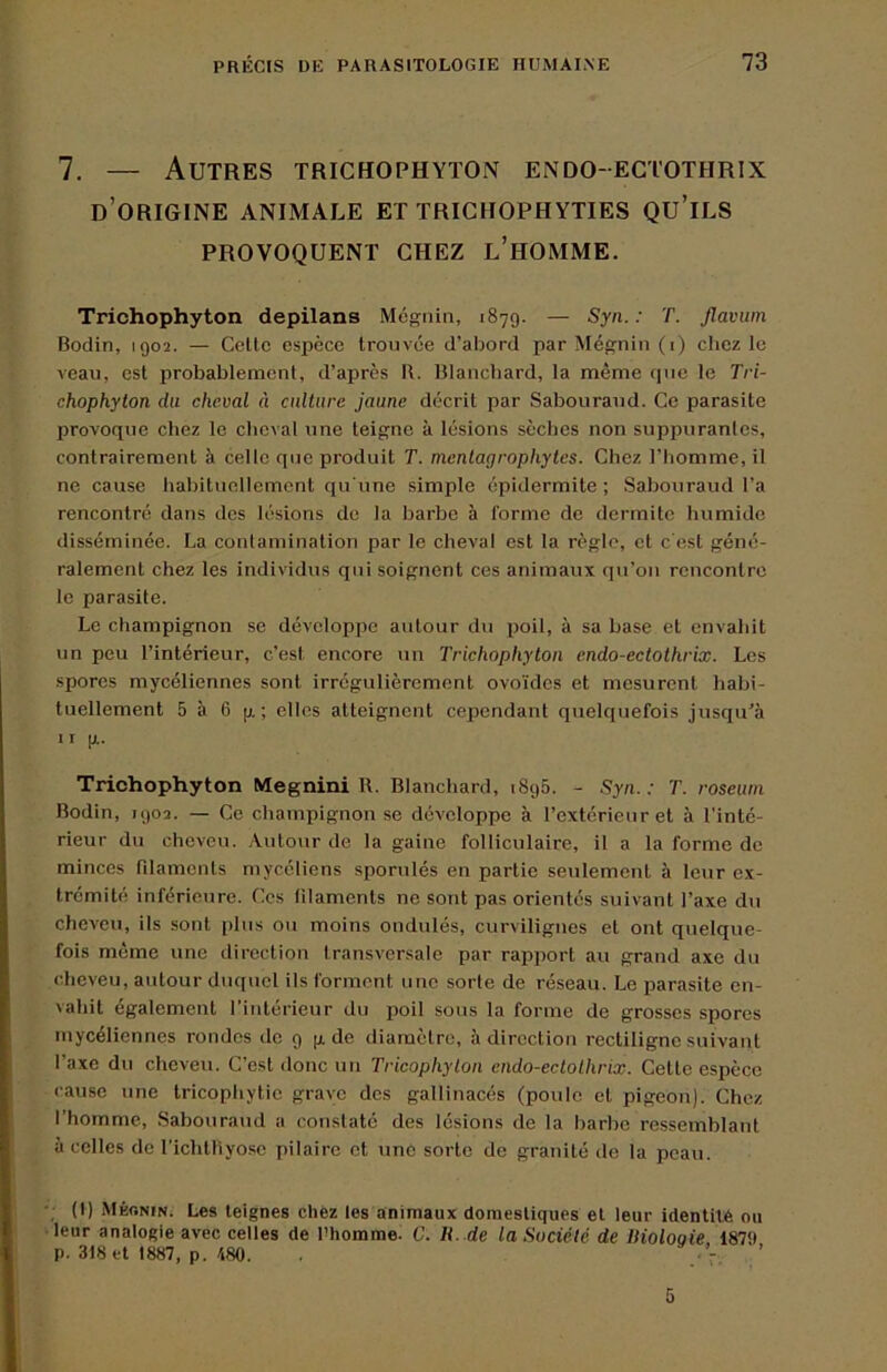 7, — Autres trichophyton endo-ectothrix d’origine animale et trichophyties qu’ils PROVOQUENT CHEZ l’hOMME. Trichophyton depilans Mégnin, 1879. — Syii. : T. Jlavuin Bodin, 1902. — Celle espèce trouvée d’abord par Mégnin (i) chez le veau, est probablement, d’après B. Blanchard, la même que le Tri- chophyton du cheval à culture jaune décrit par Sabouraud. Ce parasite lirovoque chez le cheval une teigne à lésions sèches non suppurantes, contrairement à celle que produit T. mentagrophytes. Chez l’homme, il ne cause liabituellement qu'une simple épidermite ; Sabouraud l’a rencontré dans des lésions de la barbe à forme de dermite humide disséminée. La contamination par le cheval est la règle, et c'est géné- ralement chez les individus qui soignent ces animaux qu’on rencontre le parasite. Le champignon se développe autour du poil, à sa base et envahit un peu l’intérieur, c’est encore un Trichophyton endo-ectothrix. Les spores mycéliennes sont irrégulièrement ovo'ides et mesurent habi- tuellement 5 à 6 g ; elles atteignent cependant quelcjuefois jusqu’à ir g. Trichophyton Megnini R. Blanchard, 1895. - Syn. : T. roseum Bodin, 1902. — Ce champignon se développe à l’extérieur et à l'inté- rieur du cheveu. Autour de la gaine folliculaire, il a la forme de minces rdamcnls mycéliens sporulés en partie seulement à leur ex- trémité inférieure. Ces filaments ne sont pas orientés suivant l’axe du cheveu, ils sont plus on moins ondulés, curvilignes et ont quelque- fois même une direction transversale par rapport au grand axe du cheveu, autour duquel ils forment une sorte de réseau. Le parasite en- vahit également l’intérieur du jjoil sous la forme de grosses spores mycéliennes rondes de 9 g de diamètre, à direction rectiligne suivant l’axe du cheveu. C’est donc un Tricophyton cndo-ectolhrix. Cette espèce cause une tricophytie grave des gallinacés (poule et pigeon). Chez l’homme, Sabouraud a conslaté des lésions de la barbe ressemblant à celles de richttiyosc pilaire et une sorte de granité de la peau. • (I) Mèonin. Les teignes chez les animaux domestiques et leur identité ou leur analogie avec celles de Rhomme. C. R. de la Société de Riolooie 187;» p. 318 et 1887, p. 480. ■ - 5