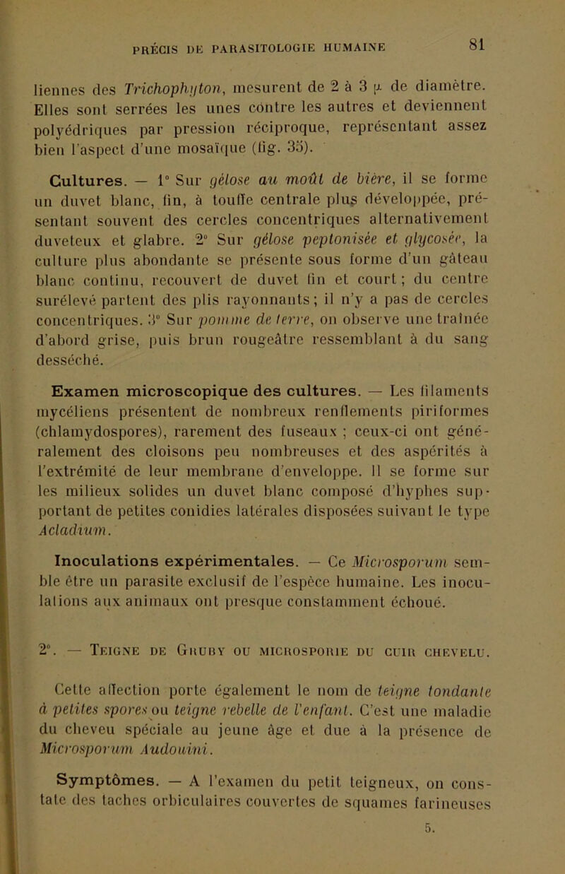 liennes des Trichophuton, mesurent de 2 à 3 jj. de diamètre. Elles sont serrées les unes contre les autres et deviennent polyédriques par pression réciproque, représentant assez bien l'aspect d’une mosa'iciue (lig. 35). Cultures. — 1“ Sur gélose au moût de bière, il se forme un duvet blanc, fin, à touffe centrale plug développée, pré- sentant souvent des cercles concentriques alternativement duveteux et glabre. 2“ Sur gélose peptonisée et glycosée, la culture plus abondante se présente sous forme d’un gâteau blanc continu, recouvert de duvet lin et court ; du centre surélevé partent des plis rayonnants; il n’y a pas de cercles concentriques. 3“ Sur pomme de ferre, on observe une traînée d’abord grise, puis brun rougeâtre ressemblant à du sang desséché. Examen microscopique des cultures. — Les lilaments mycéliens présentent de nombreux renflements piriformes (chlamydospores), rarement des fuseau.x ; ceux-ci ont géné- ralement des cloisons peu nombreuses et des aspérités à l’extrémité de leur membrane d’enveloppe. 11 se forme sur les milieux solides un duvet blanc composé d’hyphes sup- portant de petites coiiidies latérales disposées suivant le type Aclaclnm. Inoculations expérimentales. — Ce Microsporum sem- ble être un parasite exclusif de l’espèce humaine. Les inocu- lalions aux animaux ont presque constamment échoué. 2°. — Teigne de Gruhy ou micuospoiue du cuir chevelu. Cette allection porte également le nom de teigne tondante à petites spores ou teigne rebelle de l'enfant. C’est une maladie du cheveu spéciale au jeune âge et due à la présence de Microsporum Audouini. Symptômes. — A l’e.xamen du petit teigneux, on cons- tate des taches orbiculaires couvertes de squames farineuses