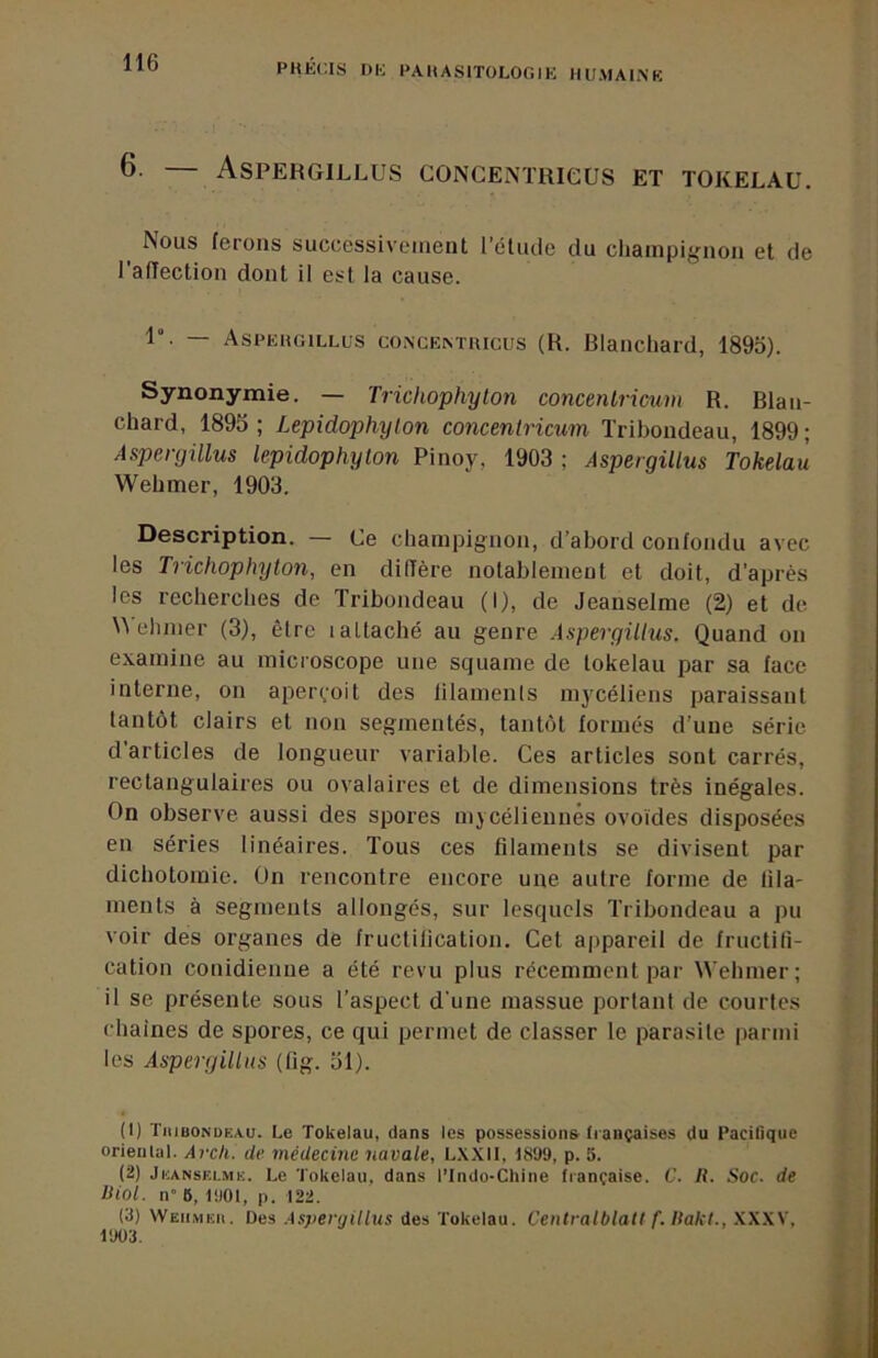 6. AsPERGILLUS CONCENÏRieUS ET TOKELAU, Nous ferons successivement rélude du champignon et de I affection dont il est la cause. 1°. — Aspeugillus CONCEM'IUCUS (R. Blanchard, 1895). Synonymie. — Trichophyton concenlricum R. Blan- chard, 1895; Lepidophyton concenlricum ïribondeau, 1899; Aspergillus lepidophyton Pinoy, 1903 ; Aspergillus Tokélau Wehmer, 1903. Description. — Ce champignon, d’abord confondu avec les Trichophyton, en diffère notablement et doit, d’après les recherches de Tribondeau (I), de Jeanselme (2) et de U ehmer (3), être laltaché au genre Aspergillus. Quand on examine au microscope une squame de tokélau par sa face interne, on aperçoit des lilamenls mycéliens paraissant tantôt clairs et non segmentés, tantôt formés d’une série d’articles de longueur variable. Ces articles sont carrés, rectangulaires ou ovalaires et de dimensions très inégales. On observe aussi des spores mycéliennês ovoïdes disposées en séries linéaires. Tous ces filaments se divisent par dichotomie. On rencontre encore une autre forme de lila- ments à segments allongés, sur lesquels Tribondeau a pu voir des organes de fructilication. Cet appareil de fructifi- cation conidienne a été revu plus récemment par Wehmer; il se présente sous l’aspect d'une massue portant de courtes chaînes de spores, ce qui permet de classer le parasite parmi les Aspergillus (fig. 51). (1) T111BONÜF.A.U. Le Tokélau, dans les possessions françaises du Pacifique oriental. Arch. de médecine navale, L.XXIl, 18Ü9, p. 5. (2) JiiANSF.i.MK. Le Tokélau, dans ITndo-Chine française. C. It. Soc. de liiol. n” 6, 1!)01, p. 122. (3) Weiimbh. Des Aspergillus des Tokélau. Centralblalt f. Ilakt., .\XXV, 1903.