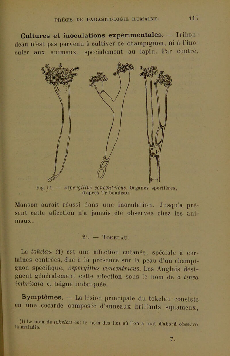 Cultures et inoculations expérimentales. — Triboii- deau n’esl pas parvenu à cullivcr ce champignon, ni à l’ino- culer aux animaux, spécialement au lapin. Par contre. Fig. iU. — Aspergillus concentricus. Organes sporifères, daprès Triboudeau. Manson aurait réussi dans une inoculation. Jusqu’à pré- sent celte alicction n’a jamais élc observée chez les ani- maux. 2°. — Tokélau. Le tokélau (1) est une alïection cutanée, spéciale à cer- taines contrées, due à la présence sur la peau d’un champi- gnon spéciliquc, Aspergillus concentricus. Les Anglais dési- gnent généralement cette alTection sous le nom de « tinea imbricala », teigne imbriijuée. Symptômes. — La lésion principale du tokélau consiste eu une cocarde composée d’anneaux brillants squameux, (I) Le nom de tokélau est le nom des îles où l’on a tout d’abord obse vé la maladie.