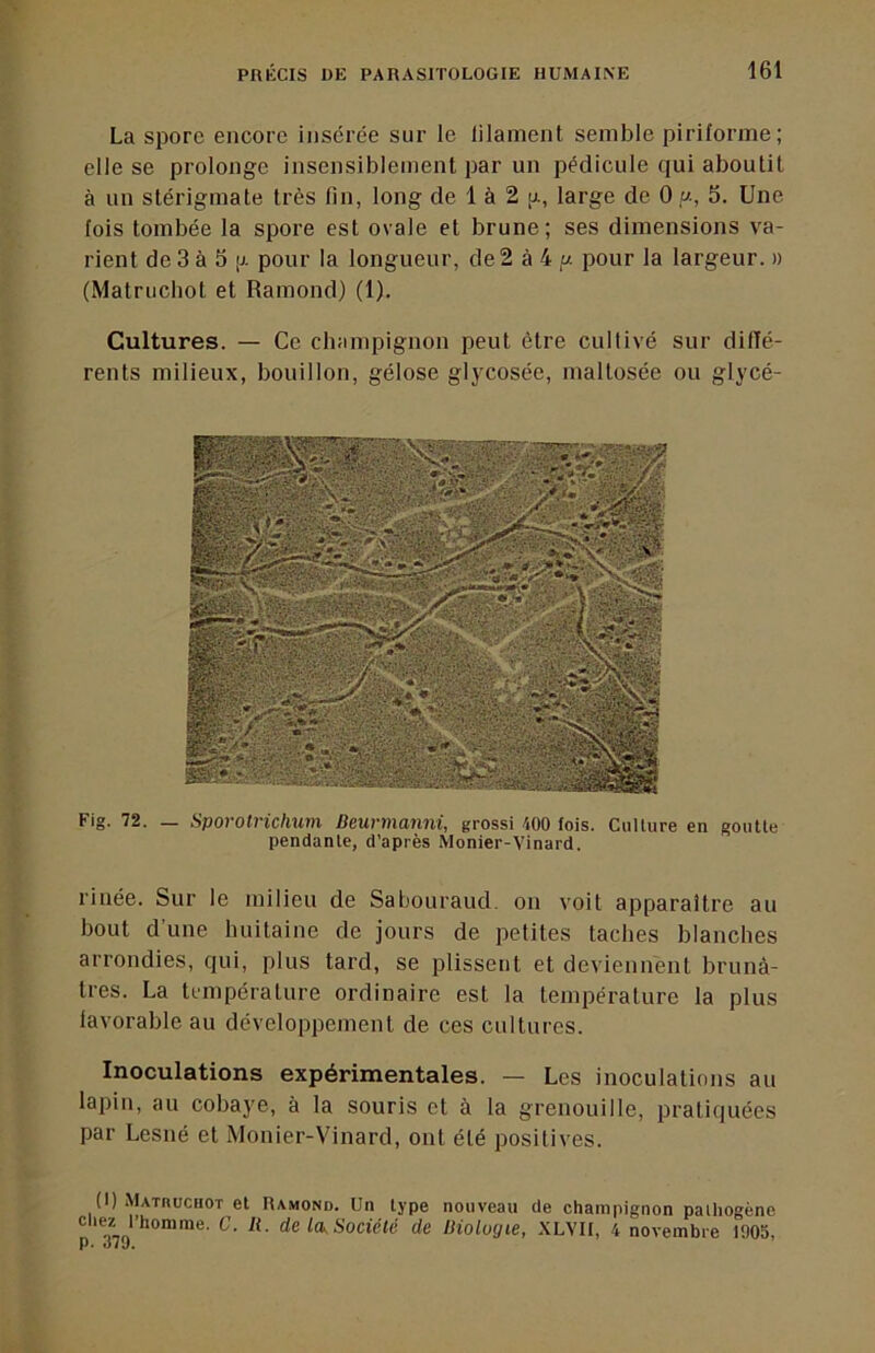 La spore encore insérée sur le lilament semble piriforme; elle se prolonge insensiblement par un pédicule qui aboutit à un stérigmate très (in, long de 1 à 2 [x, large de 0 m, 5. Une fois tombée la spore est ovale et brune; ses dimensions va- rient de 3 à 5 |j- pour la longueur, de2 à 4 p. pour la largeur. » (Matrucbot et Ramond) (1). Cultures. — Ce champignon peut être cultivé sur dilTé- rents milieux, bouillon, gélose glycosée, maltosée ou glycé- Fig. 72. _ Sporotrichum Deurtnanni, grossi ^00 fois. Ciillure en goutte pendante, d’après Monier-Vinard. rinée. Sur le milieu de Sabouraud. on voit apparaître au bout d’une huitaine de jours de petites taches blanches arrondies, qui, plus tard, se plissent et deviennent brunâ- tres. La température ordinaire est la température la plus iavorable au développement de ces cultures. Inoculations expérimentales. — Les inoculations au lapin, au cobaye, à la souris et à la grenouille, pratiquées par Lesné et Monier-Vinard, ont été positives. (I) Matruchot et Ramond. Un type nouveau de champignon pathogène C. li. de la. Société de Biologie, XLVII, 4 novembre 1903,