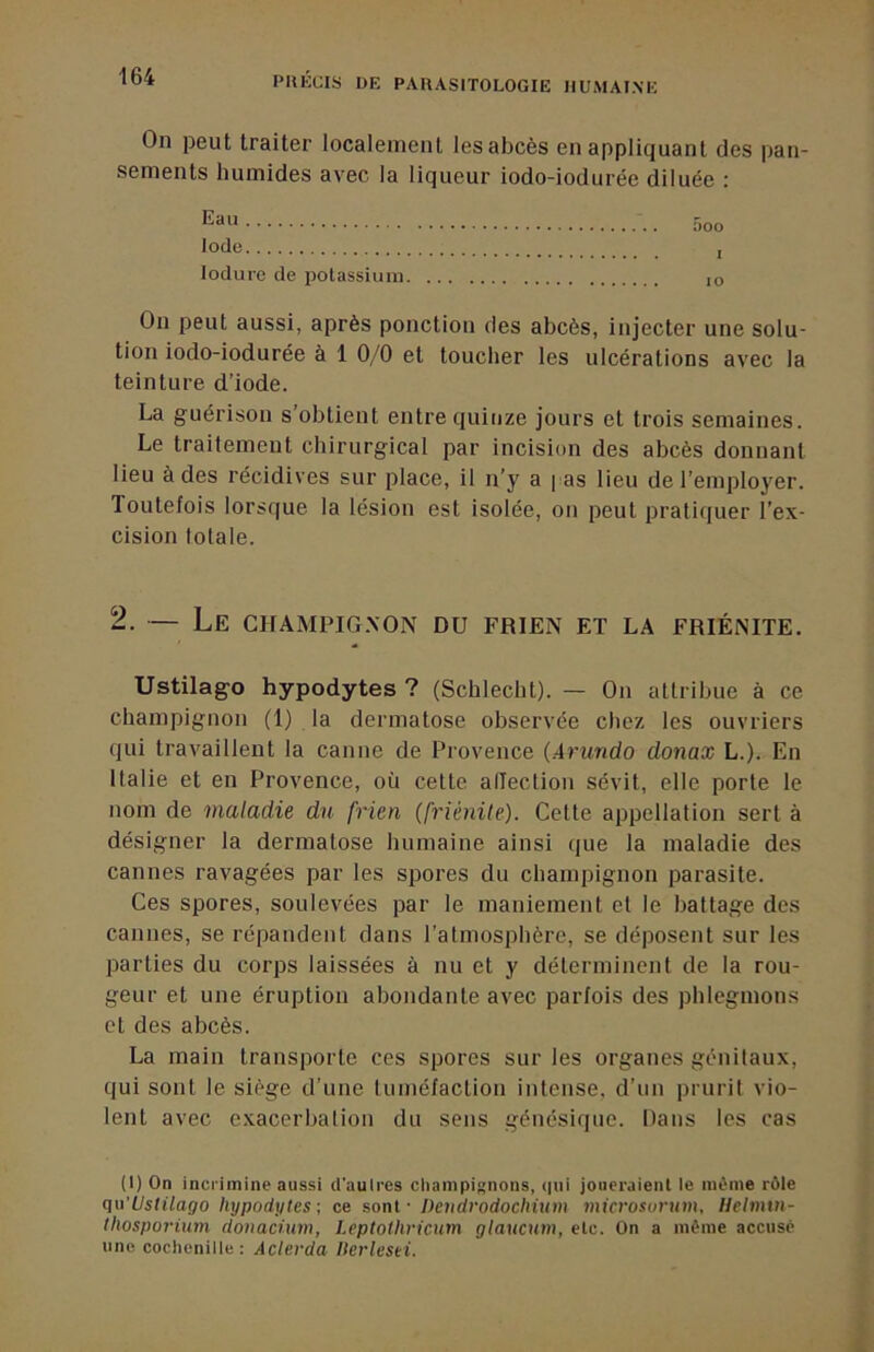 On peut traiter localement les abcès en appliquant des pan- sements humides avec la liqueur iodo-iodurée diluée : Eau Iode lodure de potassium On peut aussi, après ponction des abcès, injecter une solu- tion iodo-iodurée à 1 0/0 et touclier les ulcérations avec la teinture d’iode. La guérison s obtient entre quinze jours et trois semaines. Le traitement chirurgical par incision des abcès donnant lieu à des récidives sur place, il n’y a pas lieu de l’employer. Toutefois lorsque la lésion est isolée, on peut pratiquer l’ex- cision totale. 2. — Le champig.non du frien et la friénite. Ustilago hypodytes ? (Schlecht). — On attribue à ce champignon (1) la dermatose observée chez les ouvriers qui travaillent la canne de Provence (Arundo donax L.). En Italie et en Provence, où cette allection sévit, elle porte le nom de maladie du frien (friénite). Cette appellation sert à désigner la dermatose humaine ainsi que la maladie des cannes ravagées par les spores du champignon parasite. Ces spores, soulevées par le maniement et le battage des cannes, se répandent dans l’atmosphère, se déposent sur les parties du corps laissées à nu et y déterminent de la rou- geur et une éruption abondante avec parfois des phlegmons et des abcès. La main transporte ces spores sur les organes génitaux, qui sont le siège d’une tuméfaction intense, d’iin prurit vio- lent avec e.xacerbation du sens génésique. Dans les cas aoo I 10 (1) On incrimine aussi d'autres champignons, (|ui joueraient le même rôle (]»’lJstilago hypodytes ; ce sont - Deiidrodochium microsurum, Hehmn- thosporium donaciim, Leptothricum glaucnm, etc. On a même accusé une cochenille: Actevda llerlesti.