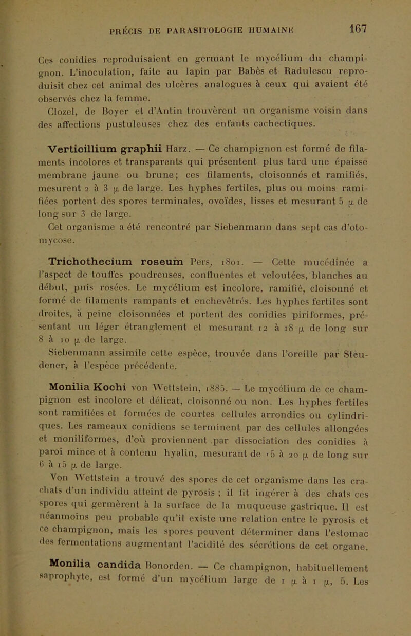 Ces coiiidies reproduisaient en germant le myeddium du champi- gnon. L’inoculation, faite au lapin par Babès et Radtilescu repro- duisit chez cet animal des ulcères analogues à ceux qui avaient été observés chez la femme. Clozel, de Boyer et d’.Vnlin trouvèrent un organisme voisin dans des affections pustuleuses chez des enfants cachectiques. Vertioillium graphii Itarz. — Ce champignon est formé de fila- ments incolores et transparents qui présentent pins tard une épaisse membrane jaune ou brune; ces fdaments, cloisonnés et ramifiés, mesurent 2 à 3 g de large. Les hyphes fertiles, plus ou moins rami- fiées portent des spores terminales, ovoïdes, lisses et mesurant 5 g de long sur 3 de large. Cet organisme a été rencontré par Siebenmann dans sept cas d’oto- mycosc. Triohothecium roseum Pers, 1801. — Cette nuicédinée a l’aspect de toulTes poudreuses, coniluentes et veloutées, blanches au début, puis rosées. Le mycélium est incolore, ramifié, cloisonné et formé de filaments rampants et enchevêtrés. Les hyphes fertiles sont droites, à peine cloisonnées et portent des conidies piriformes, pré- sentant un léger étranglement et mesurant 12 à 18 g de long sur 8 à 10 g de large. Siebenmann assimile cette espece, trouvée dans l’oreille par Steu- dener, à l’espèce précédente. Monilia Kochi von Weltstein, i88â. — Le mycélium de ce cham- pignon est incolore et délicat, cloisonné ou non. Les hyphes fertiles sont ramifiées et formées de courtes cellules arrondies ou cylindri- ques. Les rameaux conidiens se terminent par des cellules allongées et moniliformes, d’où proviennent par dissociation des conidies à paroi mince et a contenu hyalin, mesurant de »5 à 20 g de long sur t) à 1.3 g de large. Von Weltstein a trouvé des spores de cet organisme dans les cra- chats d’un individu atteint de pyrosis ; il fit ingérer à des chats ces spores c[ui germèrent à la surface de la muqueuse gastrique. 11 est néanmoins peu probable qu’il existe iine relation entre le pyrosis et ce champignon, mais les spores peuvent déterminer dans l’estomac des fermentations augmentant l’acidité des sécrétions de cet organe. Monilia oandida Bonorden. — Ce champignon, habituellement saprophyte, est formé d’un mycélium large de ï g à i g, .3. Les