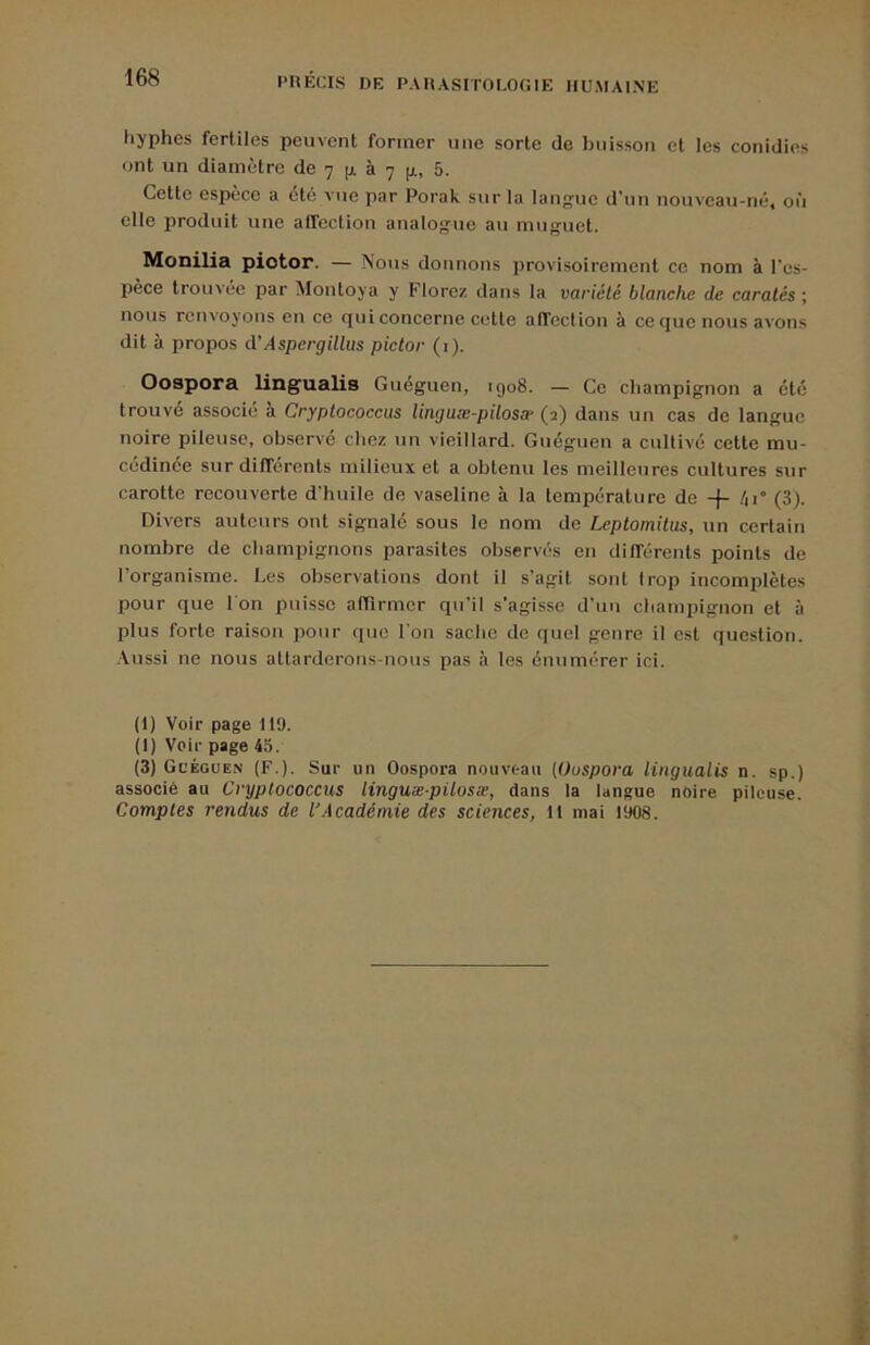 liyphes fertiles peuvent former une sorte de buisson et les conidies ont un diamètre de 7 [x à 7 [ji, 5. Cette espèce a été vue par Porak sur la langue d'un nouveau-né, où elle produit une affection analogue au muguet. Monilia piotor. — Nous donnons provisoirement ce nom à l’es- pèce trouvée par Montoya y Florez dans la variété blanche de caratés ; nous renvoyons en ce qui concerne cette alTection à ce que nous avons dit à propos cVAspergillus pictor (i). Oospora ling'ualis Guéguen, igo8. — Ce champignon a été trouvé associé a Cryplococcus lingaæ-pilosœ (2) dans un cas de langue noire pileuse, observé chez un vieillard. Guéguen a cultivé cette mu- cédlnée sur différents milieux et a obtenu les meilleures cultures sur carotte recouverte d’huile de vaseline à la température de -|- /|i° (3). Divers auteurs ont signalé sous le nom de Leptomitus, un certain nombre de champignons parasites observés en différents points de l’organisme. Les observations dont il s’agit sont trop incomplètes pour que l'on puisse afTirmcr qu’il s’agisse d’un champignon et à plus forte raison pour que l'on sache de quel genre il est question. .Aussi ne nous attarderons-nous pas à tes énumérer ici. (I) Voir page 119. (I) Voir page 45. (3) Gl’égüen (F.). Sur un Oospora nouveau (Oospora lingualis n. sp.) associé au Cryplococcus linguæ-pilosæ, dans la langue noire pileuse. Comptes rendus de l'Académie des sciences, Il mai 1908.