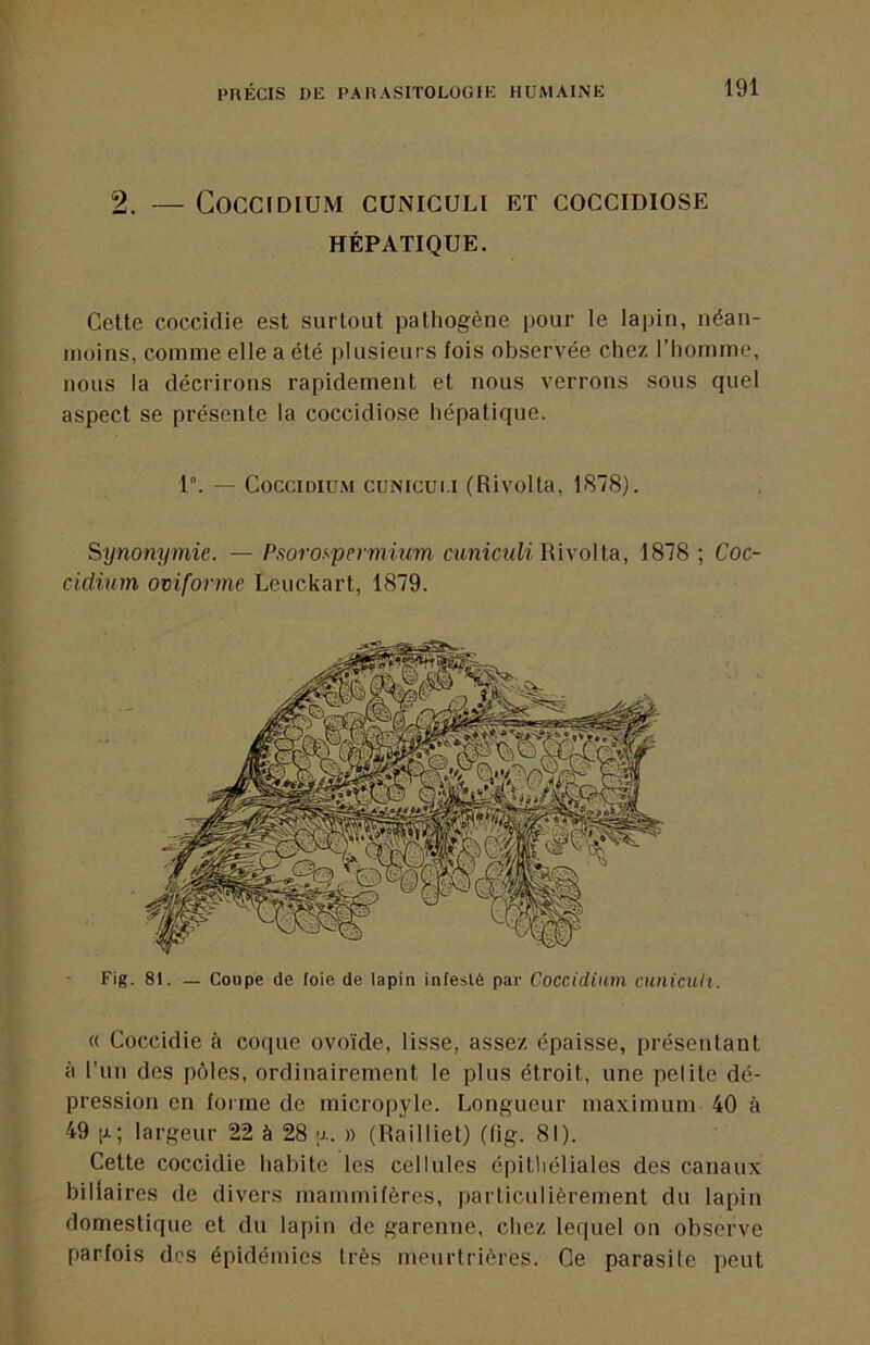 2. — COCCIDIUM CÜNIGULI ET COCCIDIOSE HÉPATIQUE. Cette coccidie est surtout pathogène pour le lapin, néan- nioins, comme elle a été plusieurs fois observée chez l’homme, nous la décrirons rapidement et nous verrons sous quel aspect se présente la coccidiose hépatique. 1°. — CocciDiuM cuNicui.i (Rivolta, 1878). Synonymie. — Psorospermium mnicMW. Rivolta, 1878 ; Coc- cidium oviforme Leuckart, 1879. Fig. 81. — Coupe de foie de lapin infesté par Coccidium cuniculi. « Coccidie à coque ovoïde, lisse, assez épaisse, présentant à l’un des pôles, ordinairement le plus étroit, une pelite dé- pression en forme de micropyle. Longueur maximum 40 à 49 [x; largeur 22 à 28 <}.. » (Railliet) (lig. 81). Cette coccidie habite les cellules épithéliales des canaux biliaires de divers mammifères, particulièrement du lapin domestique et du lapin de garenne, chez lequel on observe parfois des épidémies très meurtrières. Ce parasite peut