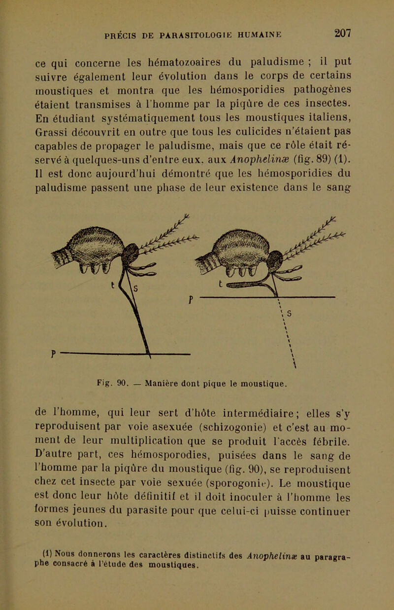 ce qui concerne les hématozoaires du paludisme ; il put suivre également leur évolution dans le corps de certains moustiques et montra que les hémosporidies pathogènes étaient transmises à l’homme par la piqûre de ces insectes. En étudiant systématiquement tous les moustiques italiens, Grassi découvrit en outre que tous les culicides n’étaient pas capables de propager le paludisme, mais que ce rôle était ré- servé à quelques-uns d’entre eux. aux Anophelinæ (fig. 89) (1). 11 est donc aujourd’hui démontré que les hémosporidies du paludisme passent une phase de leur existence dans le sang Fig, 90. — Manière dont pique le moustique. de l’homme, qui leur sert d’hôte intermédiaire; elles s’y reproduisent par voie asexuée (schizogonie) et c’est au mo- ment de leur multiplication que se produit l’accès fébrile. D’autre part, ces hémosporodies, puisées dans le sang de l’homme par la piqûre du moustique (fig. 90), se reproduisent chez cet insecte par voie sexuée (sporogonif). Le moustique est donc leur hôte définitif et il doit inoculer à l’homme les formes jeunes du parasite pour que celui-ci puisse continuer son évolution. (1) Nous donnerons les caractères distinctifs des Anophelinæ au paragra- phe consacré à l’étude des moustiques.
