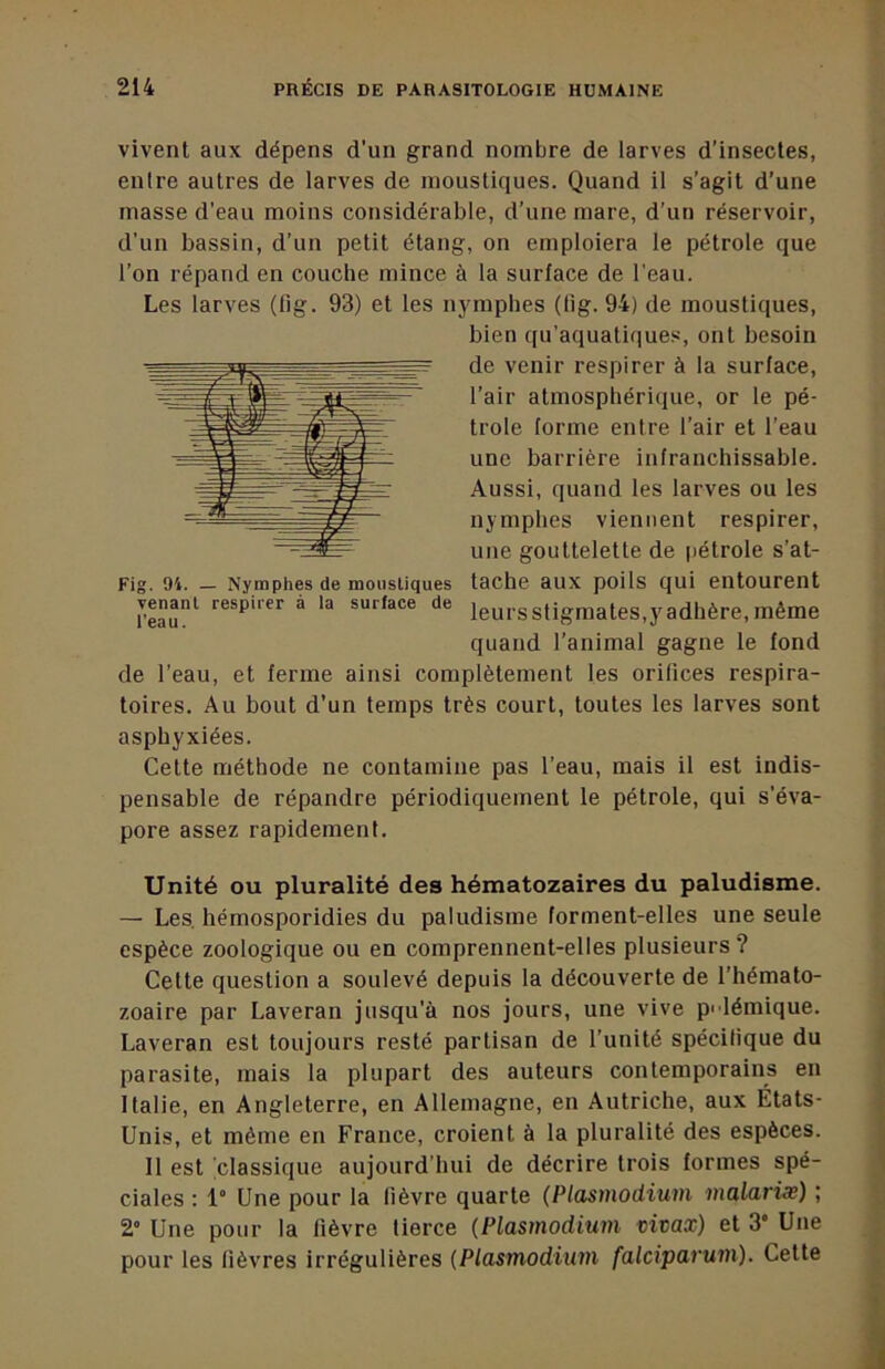 vivent aux dépens d’un grand nombre de larves d’insectes, entre autres de larves de moustiques. Quand il s’agit d'une masse d’eau moins considérable, d’une mare, d'un réservoir, d’un bassin, d’un petit étang, on emploiera le pétrole que l’on répand en couche mince à la surface de l’eau. Les larves (11g. 93) et les nymphes (lig. 94) de moustiques, bien qu’aquatiques, ont besoin de venir respirer à la surface, l’air atmosphérique, or le pé- trole forme entre l’air et l’eau une barrière infranchissable. Aussi, quand les larves ou les nymphes viennent respirer, une gouttelette de pétrole s’at- Fig. 9i. — Nymphes de moustiques tache aux poils qui entourent venant respirer à la surface de ieursstigmates,yadhère,même quand l’animal gagne le fond de l’eau, et ferme ainsi complètement les orifices respira- toires. Au bout d’un temps très court, toutes les larves sont asphyxiées. Cette méthode ne contamine pas l’eau, mais il est indis- pensable de répandre périodiquement le pétrole, qui s’éva- pore assez rapidemenl. Unité ou pluralité des hématozaires du paludisme. — Les. hémosporidies du paludisme forment-elles une seule espèce zoologique ou en comprennent-elles plusieurs ? Cette question a soulevé depuis la découverte de l’hémato- zoaire par Laveran jusqu’à nos jours, une vive p' iémique. Laveran est toujours resté partisan de l’unité spécifique du parasite, mais la plupart des auteurs contemporains en Italie, en Angleterre, en Allemagne, en Autriche, aux États- Unis, et même en France, croient à la pluralité des espèces. 11 est classique aujourd’hui de décrire trois formes spé- ciales : 1° Une pour la lièvre quarte (Plasmodium malavisé) ; 2° Une pour la fièvre tierce (Plasmodiujn vivax) et 3' Une pour les lièvres irrégulières (Plasmodium falciparum). Cette