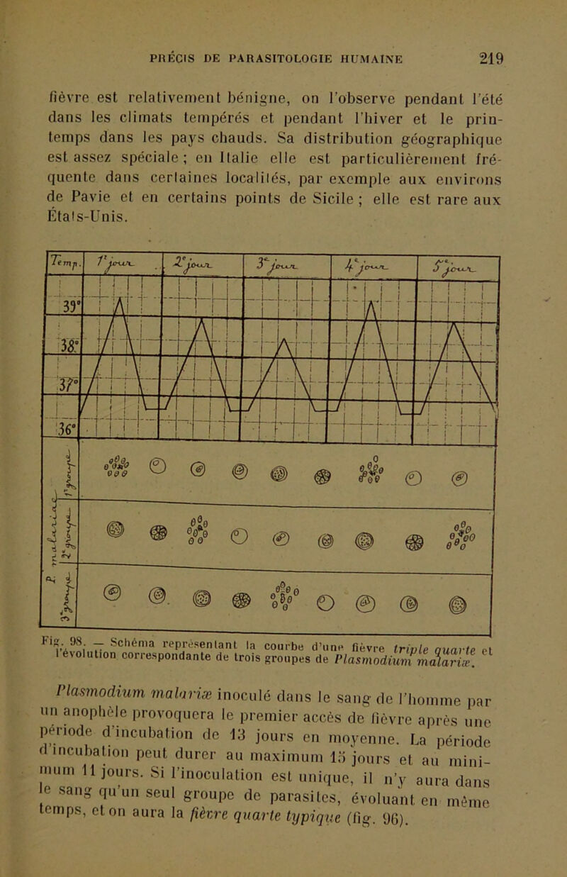 fièvre est relativement bénigne, on l’observe pendant l’été dans les climats tempérés et pendant l’hiver et le prin- temps dans les pays chauds. Sa distribution géographique est assez spéciale; en Italie elle est particulièrement fré- quente dans cerlaines localités, par e.xcmple aux environs de Pavie et en certains points de Sicile ; elle est rare aux Étals-Unis.