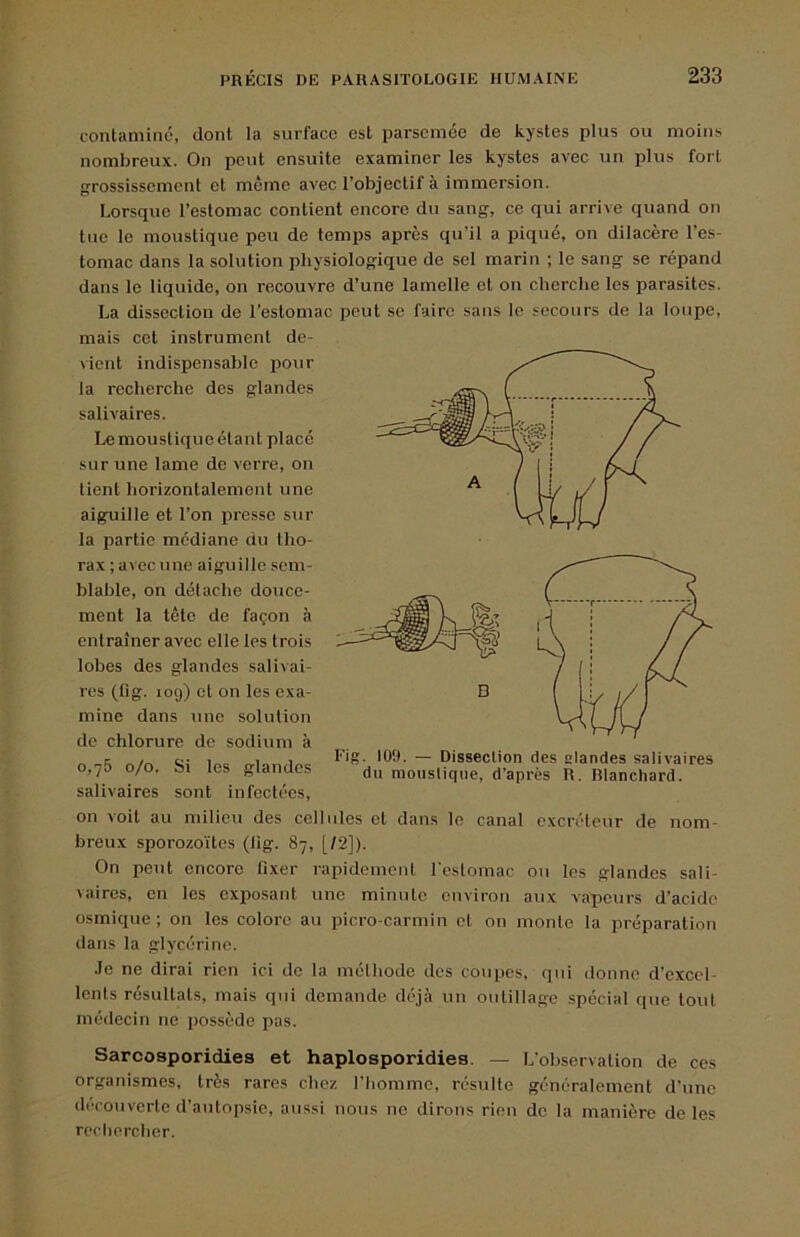 contaminé, dont la surface est parsemée de kystes plus ou moins nombreux. On peut ensuite examiner les kystes avec un plus fort grossissement et même avec l’objectif à immersion. Lorsque l’estomac contient encore du sang, ce qui arrive quand on tue le moustique peu de temps après qu’il a piqué, on dilacère l’es- tomac dans la solution physiologique de sel marin ; le sang se répand dans le liquide, on recouvre d’une lamelle et on cherche les parasites. La dissection de l’estomac peut se faire sans le secours de la loupe, mais cet instrument de- vient indispensable ^jour la recherche des glandes salivaires. Le moustique étant placé sur une lame de verre, on lient horizontalement une aiguille et l’on presse sur la partie médiane du tho- rax ;avec une aiguille sem- blable, on détache douce- ment la tête de façon à entraîner avec elle les trois lobes des glandes salivai- res (fig. 109) et on les exa- mine dans une solution de chlorure de sodium à 0,76 0/0. Si les glandes salivaires sont infectées, on voit au milieu des cellules et dans le canal excréteur de nom- breux sporozoïtes (lig. 87, [/2]). On peut encore fixer rapidement l'estomac ou les glandes sali- vaires, en les exposant une minute environ aux vapeurs d’acide osmique ; on les colore au picro-carmin et on monte la préparation dans la glycérine. Je ne dirai rien ici de la méthode des coupes, qui donne d’excel- lents résultats, mais qui demande déjà un outillage spécial que tout médecin ne possède pas. Sarcosporidies et haplosporidies. — L’observation de ces organismes, très rares chez l’homme, résulte généralement d’une decouverte d’autopsie, atissi nous ne dirons rien de la manière de les rechercher. Fig. 109. — Dissection des alandes salivaires du moustique, d’après R. Blanchard.