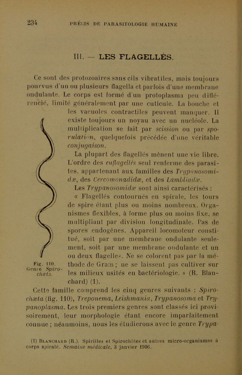 III. — LES FLAGELLÉS. Ce sont des protozoaires sans cils vibratiles, mais toujours pourvus d’un ou plusieurs flagella et parfois d’une membrane ondulante. Le corps est formé d un protoplasma pou dillé- rencié, limité généralement par une cuticule. La bouche et les vacuoles contractiles peuvent mamiuer. 11 existe toujours un noyau avec un nucléole. La multiplicalion se fait par scixsion ou par spo- rulati‘>n, quelquefois précédée d’une véritable conjugaison. La plupart des flagellés mènent une vie libre. L’ordre des eaflagellès seul renferme des parasi- tes, appartenant aux familles des Trgpnnosomi- dæ, des Cercoinonadidæ, et des Lambliadæ. Les Trgpanosomidæ sont ainsi caractérisés : « Flagellés contournés en spirale, les tours de spire étant plus ou moins nombreux. Oiq^a- nismes flexibles, à forme plus ou moins fixe, se multipliant par division longitudinale, l’as de spores endogènes. Appareil locomoteur consti- tué, soit par une membrane ondulante seule- ment, soit par une membrane ondulante et un ou deux flagelles. Ne se colorent pas par la mé- Eig. no. thodc de Gram; ne se laissent pas cultiver sur chæu. les milieux usités en bactériologie. >> (R. Blan- chard) (1). Cette famille comprend les cinq genres suivants : Spiro- ckæta{iig. 110), Treponetna, Leishmania, Trypanosoma el Try- panoplasrna. Les trois premiers genres sont classés ici provi- soirement, leur morphologie étant encore imparfaitement connue ; néanmoins, nous les étudierons avec le genre Trypa- (1) Ulanciiakd (R.). Spirilles el Spiroclièles cl aulres inicro-oi'j?anismes à corps spiralé. Semaine médicale, 3 janvier I90(i.