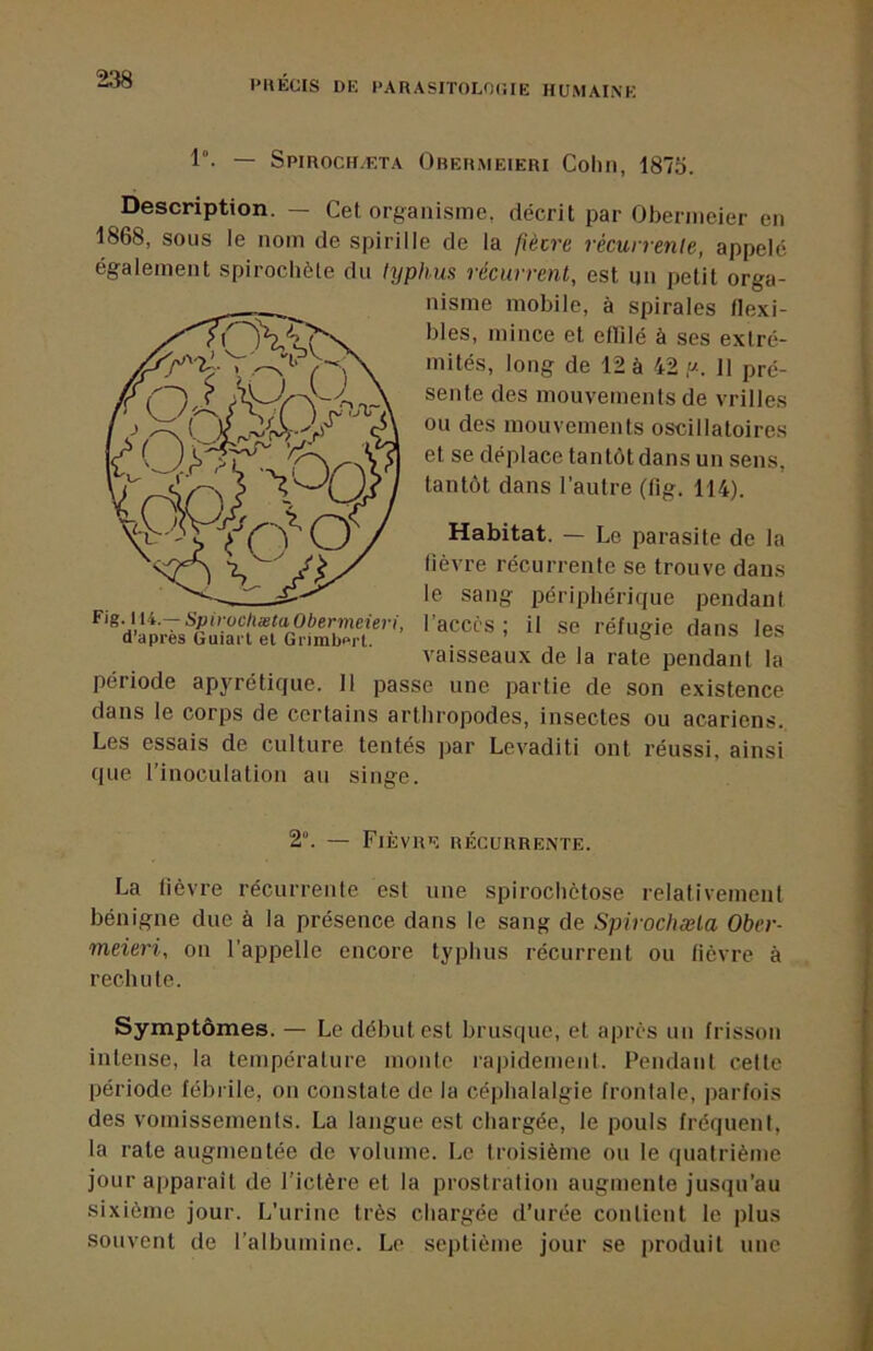 l’UEGIS DE DARASITOLOCIE HUMAINE 1“- — Spiroch.eta Obermeieri Colin, 1875. Description. — Cet organisme, décrit par Obermeier en 1868, sous le nom de spirille de la fiècre rècunenle, appelé également spirochète du typhus récurrent, est un petit orga- nisme mobile, à spirales flexi- bles, mince et eflilé à ses extré- mités, long de 12 à 42 y. 11 pré- sente des mouvements de vrilles ou des mouvements oscillatoires et se déplace tantôt dans un sens, tantôt dans l’autre (fig. 114). Habitat. — Le parasite de la lièvre récurrente se trouve dans le sang périphérique pendant l’accès ; il se réfugie dans les vaisseaux de la rate pendant la période apyrétique. 11 passe une partie de son existence dans le corps de certains arthropodes, insectes ou acariens. Les essais de culture tentés par Levaditi ont réussi, ainsi que l’inoculation au singe. 2°. — Fièvre récurrente. La lièvre récurrente est une spirochétose relativement bénigne due à la présence dans le sang de Spirochæla Ober- meieri, on l’appelle encore typhus récurrent ou fièvre à rechute. Symptômes. — Le début est brusque, et après un frisson intense, la température monte ia|)idemeiit. Pendant cette période fébrile, on constate de la céiihalalgie frontale, parfois des vomissements. La langue est chargée, le pouls fréquent, la rate augmentée de volume. Le troisième ou le quatrième jour apparaît de l'ictère et la prostration augmente jusqu’au sixième jour. L’urine très chargée d’urée contient le plus souvent de l’albumine. Le septième jour se produit une