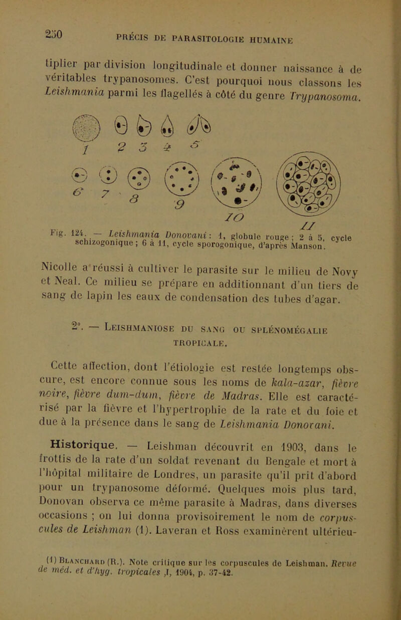2j0 liplier par division longitudinale et donner naissance à de véritables trypanosomes. C’est pourquoi nous classons les Leishmania parmi les flagellés à côté du genre Trypanosoma. m 0 fe ô S uunuvani: i, giODUie rouge; 2 à 5, scliizogonique; 6 a 11, cycle sporogonique, d’après Manson. Nicolle a-réussi à cultiver le parasite sur le milieu de Novy et Neal. Ce milieu se prépare en additionnant d’un tiers de sang de lapin les eaux de condensation des tubes d’agar. 2°. Leishmaniose du sang ou splénomégalie TROPICALE. Cette alleclion, dont l’étiologie est restée longtemps obs- cure, est encore connue sous les noms de kala-azar, fièvre noiie, fièvre dum-chun, fièvre de Madras. Elle est caracté- risé par la fièvre et l’hypertrophie de la rate et du foie et due à la présence dans le sang de Leishmania Donovani. Historique. — Leishman découvrit en 1903, dans le frottis de la rate d’un soldat revenant du Hengale et mort à l’hôpital militaire de Londres, un parasite qu’il prit d’abord pour un trypanosome défoimé. Quelques mois plus tard, Donovan observa ce même parasite à Madras, dans diverses occasions ; on lui donna provisoirement le nom de corpus- cules de Leishman (1). Laveran et Ross e.xaminèrent ultérieu- (1) Blanchard (R.). Note critique sur les corpuscules de Leisliman. Revue (le med. et d'/iyg. tropicales ,1, 1904, p. 07-42.