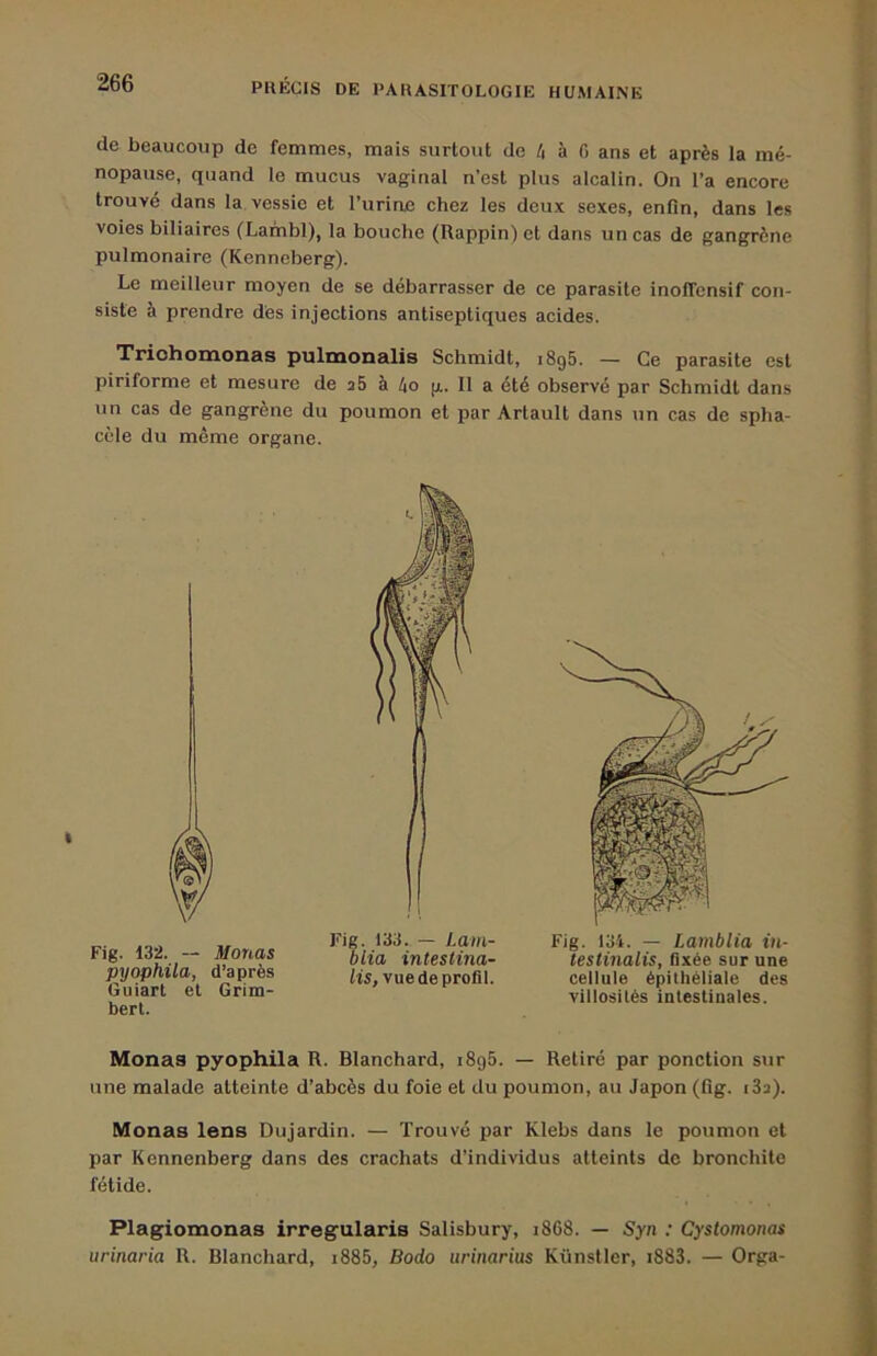 de beaucoup de femmes, mais surtout de t\ à 0 ans et après la mé- nopause, quand le mucus vaginal n’est plus alcalin. On l’a encore trouvé dans la vessie et Turine chez les deux sexes, enfin, dans les voies biliaires (Lambl), la bouche (Rappin) et dans un cas de gangrène pulmonaire (Kenneberg). Le meilleur moyen de se débarrasser de ce parasite inolTensif con- siste à prendre des injections antiseptiques acides. Trichomonas pulmonalis Schmidt, i8g5. — Ce parasite est piriforme et mesure de a5 à ko g. 11 a été observé par Schmidt dans un cas de gangrène du poumon et par Artault dans un cas de spha- cèle du même organe. Monas pyophila R. Blanchard, i8g5. — Retiré par ponction sur une malade atteinte d’abcès du foie et du poumon, au Japon (fig. i3a). Monas lens Dujardin. — Trouvé par Klebs dans le poumon et par Kennenberg dans des crachats d’individus atteints de bronchite fétide. Plagiomonas irregularis Salisbury, i8C8. — Syn : Cystomonas urinaria R. Blanchard, i885, Bodo iirinarius Künstler, i883. — Orga- Fig. 132. -- Monas pyophila, d’après Guiart et Grim- bert. Fig. 133. — Lam- blia intestina- lis, vue de profil. Fig. 134. — Lamblia in- testinalis, fixée sur une cellule épithéliale des villosUés intestinales.