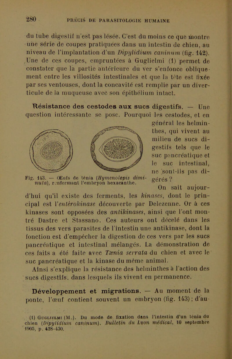 du tube digestif ii’est pas lésée. C’est du moins ce que montre une série de coupes pratiquées dans un intestin de chien, au niveau de rimplantation d’un Dipylidium caninnm (fig. 142). ,Une de ces coupes, empruntées à Guglielmi (1) permet de constater que la partie antérieure du ver s’enfonce oblique- ment entre les villosités intestinales et que la bHe est fixée par ses ventouses, dont la concavité est remplie par un diver- ticule de la muqueuse avec son épithélium intact. Résistance des cestodes aux sucs digestifs. — Une question intéressante se pose. Pourquoi les cestodes, et en d’hui qu’il existe des ferments, les kinases, dont le prin- cipal est Venlérokinase découverte par Delezenne. Or à ces kinases sont opposées des antikinases, ainsi que l’ont mon- tré Dastre et Stassano. Ces auteurs ont décelé dans les tissus des vers parasites de l’intestin une antikinase, dont la fonction est d’empécher la digestion de ces vers par les sucs pancréatique et intestinal mélangés. La démonstration de ces faits a été faite avec Tænia serrata du chien et avec le suc pancréatique et la kinase du même animal. Ainsi s’explique la résistance des helminthes à l’action des sucs digestifs, dans lesquels ils vivent en permanence. Développement et migrations. — Au moment de la ponte, l’œuf contient souvent un embryon (fig. 143) ; d’au (1) Guglielmi (M.). Du mode de lixalion dans l’inleslin d’un lénia du chien (l)ipylidium caninum). Dulletin du Lyon médical, 10 septembre 190.’), p. 428-430. Fi». 143. — CEufs de lénia (Hymenolepis dimi- nuta), renfermant l’embryon hexacanthe. général les helmin- thes, qui vivent au milieu de sucs di- gestifs tels que le suc pancréatique et le suc intestinal, ne 'sont-ils pas di- gérés ? On sait aujour-