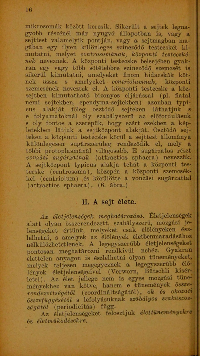 mikrosomák között keresik. Sikerült a sejtek legna- gyobb részénél már nyugvö állapotban is, vagy a sejttest valamelyik pontján, vagy a sejtmagban ma- gában egy ilyen különleges szineződö testecskét ki- mutatni, melyet centrosomának, központi testecské- nek neveznek. A központi testecske belsejében gyak- ran egy vagy több sötétebbre szineződö szemcsét is sikerül kimutatni, amelyeket finom hidacskák köt- nek össze s amelyeket centriolumnak, központi szemcsénél? neveztek el. A központi testecske a köz- sejtben kimutathatö bizonyos eljárással (pl. fiatal nemi sejtekben, ependyma-sejtelíben) azonban typi- cus alakját főleg osztódó sejteken láthatjrik s e folyamatoknál oly szabályszerű az előfordulásuk s oly fontos a szerepük, hogy ezért ezekben a kép- letekben látjulc a sejtközpont alakját. Osztódó sej- teken a központi testecske körül a sejttest állománya különlegesen sugárszerűleg rendteződik el, mely a többi protoplasmánál világosabb. E sugárzatos részt vonzási sugárzatnak (attractios sphaera) nevezzük. A sejtközpont typicus alakja tehát a központi tes- tecske (centrosoma), közepén a központi szemcsék- kel (centriolum) ,és körülötte a vonzási sugárzattal (attractios sphaera). (6. ábra.) II. A sejt élete. Az életjelenségek meghatározása. Életjelenségek alatt olyan összerendezett, szabályszerű, mozgási je- lenségelíet értünk, melyeket csak élőlényeken ész- lelhetni, s amelyek az élőlények életbenmaradásához nélkülözhetetlenek. A legegyszerűbb élet jeleneseket pontosan meghatározni rendkivül nehéz. Gyakran élettelen anyagon is észlelhetni olyan tüneményeket,; melyei? teljesen megegyeznek a l^egyszerübb élő-i lényei? életjelenségeivd (Verworn, Bütschli kisér- létéi). Az élet jellege nem is egyes mozgási tüne- ményekhez van kötve, hanem e tünemények össze- rendezettségétöl (coordináltságától), ok és okozati: összefüggésétől s lefolyásuknak szabályos szakaszos-! ságától (periodicitás) függ. ] Az életjelenségeket felosztjuk élet tüneményekre j és életműködésekre. i
