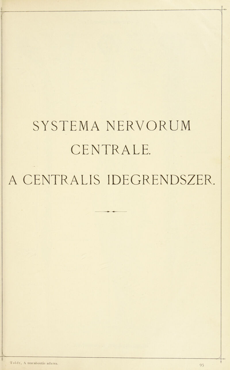 SYSTEMANERVORUM CENTRALE. A CENTRÁLIS IDEGRENDSZER. Toldt, A tetembontás atlasza. 95