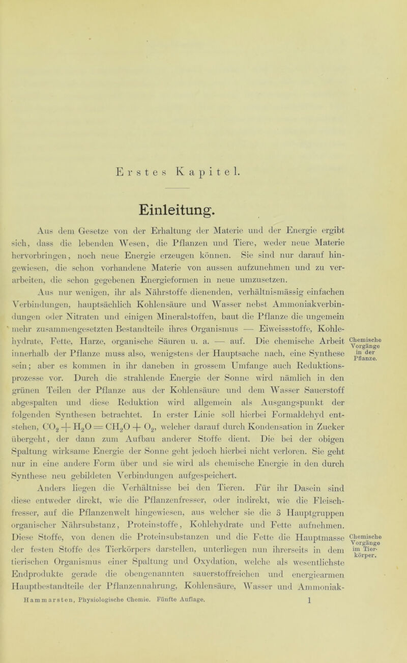 Erstes Kapitel. Einleitung. Aus dem Gesetze von der Erhaltung der Materie und der Energie ergibt sich, dass die lebenden Wesen, die Pflanzen und Tiere, weder neue Materie hervorbringen, noch neue Energie erzeugen können. Sie sind nur darauf hin- gewiesen, die schon vorhandene Materie von aussen aufzunehmen und zu ver- arbeiten, die schon gegebenen Energieformen in neue umzusetzen. Aus nur wenigen, ihr als Nährstoffe dienenden, verhältnismässig einfachen Verbindungen, hauptsächlich Kohlensäure und Wasser nebst Ammoniakverbin- dungen oder Nitraten und einigen Mineralstoffen, baut die Pflanze die ungemein mehr zusammengesetzten Bestandteile ihres Organismus -— Eiweissstoffe, Kohle- hydrate, Fette, Harze, organische Säuren u. a. — auf. Die chemische Arbeit innerhalb der Pflanze muss also, wenigstens der Hauptsache nach, eine Synthese sein; aber es kommen in ihr daneben in grossem Umfange auch Reduktions- prozesse vor. Durch die strahlende Energie der Sonne wird nämlich in den grünen Teilen der Pflanze aus der Kohlensäure und dem Wasser Sauerstoff abgespalten und diese Reduktion wird allgemein als Ausgangspunkt der folgenden Synthesen betrachtet. In erster Linie soll hierbei Formaldehyd ent- stehen, C02 -j- H20 = CH20 -f- 02, welcher darauf durch Kondensation in Zucker übergeht, der dann zum Aufbau anderer Stoffe dient. Die bei der obigen Spaltung wirksame Energie der Sonne geht jedoch hierbei nicht verloren. Sie geht nur in eine andere Form über und sie wird als chemische Energie in den durch Synthese neu gebildeten Verbindungen aufgespeichert. Anders liegen die Verhältnisse bei den Tieren. Für ihr Dasein sind diese entweder direkt, wie die Pflanzenfresser, oder indirekt, wie die Fleisch- fresser, auf die Pflanzenwelt hingewiesen, aus welcher sie die 3 Hauptgruppen organischer Nährsubstanz, Proteinstoffe, Kohlehydrate und Fette aufnehmen. Diese Stoffe, von denen die Proteinsubstanzen und die Fette die Hauptmasse der festen Stoffe des Tierkörpers darstellen, unterliegen nun ihrerseits in dem tierischen Organismus einer Spaltung und Oxydation, welche als wesentlichste Endprodukte gerade die obengenannten säuerstoffreichen und energiearmen Hauptbestandteile der Pflanzennahrung, Kohlensäure, Wasser und Ammoniak- H am mar sten, Physiologische Chemie. Fünfte Auflage. 1 Chemische Vorgänge in der Pflanze. Chemische Vorgänge im Tier- körper.