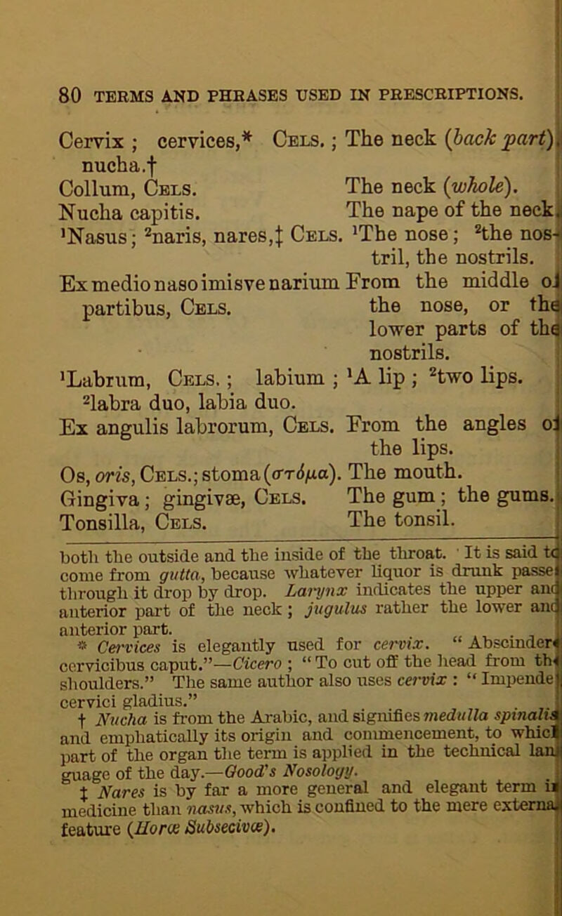 Cervix ; cervices,* Cels. ; The neck (back part)\\ nucha .f Collum, Cels. The neck (whole). Nucha capitis. The nape of the neck| ’Nasus; *naris, nares,}: Cels. ^Tbe nose; *the nosnl tril, the nostrils. Ex medio nasoimisvenarium Prom the middle oi partibus, Cels. the nose, or thai lower parts of thd nostrils. 'Labium, Cels. ; labium ; 'A lip ; ''two lips. | ''labra duo, labia duo. Ex angulis labrorum, Cels. Prom the angles o| the lips. j Os, oris, Cels.; stoma(«rT(J)ao). The mouth. > Gingiva; gingivae. Cels. The gum ; the gums.ji Tonsilla, Cels. The tonsiL 1 both the outside and the inside of the throat. It is said t<| come from gvtta, because whatever liquor is drunk passel tlirough it drop by drop. Larynx indicates the upper ana anterior part of the neck; jugulus rather the lower andj anterior part. » Cervices is elegantly used for cervix. Abscmden ccrvicibus caput.”—Cicero ; “ To cut off the liead from th. shoulders.” Tlie same author also uses cervix : “ Impende cervici gladius.” t Nucha is from the Arabic, and signifies medulla spinalU and emphatically its origin and commencement, to whicl part of the organ the term is applied in the technical Ian guage of the day.—Oood's Nosology. t Nares is by far a more general and elegant term ii medicine than nasus, which is confined to the mere e.xtema feature (Iloros Subsecivce).