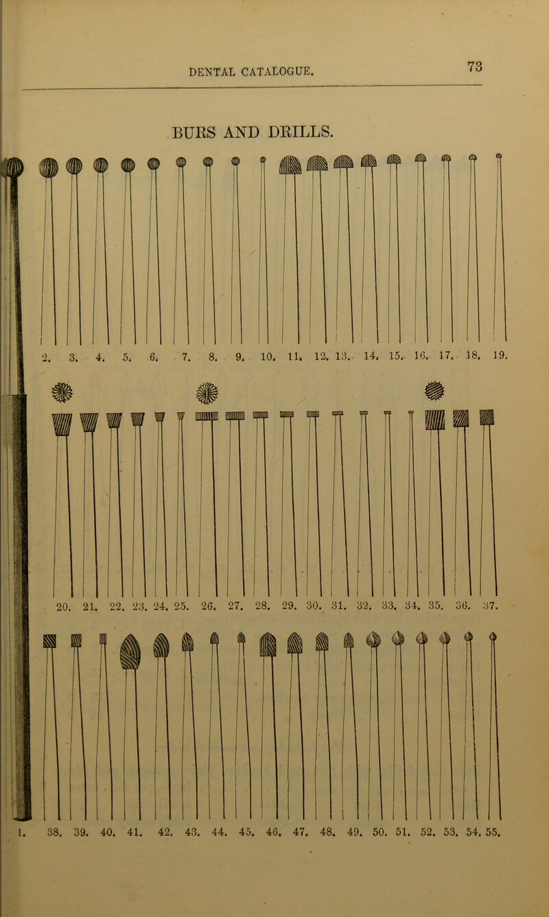 BURS AND DRILLS. 38. 39. 40. 41. 42. 43. 44. 45. 46. 47. 48. 49. 50. 51. 52. 53. 54. 55.