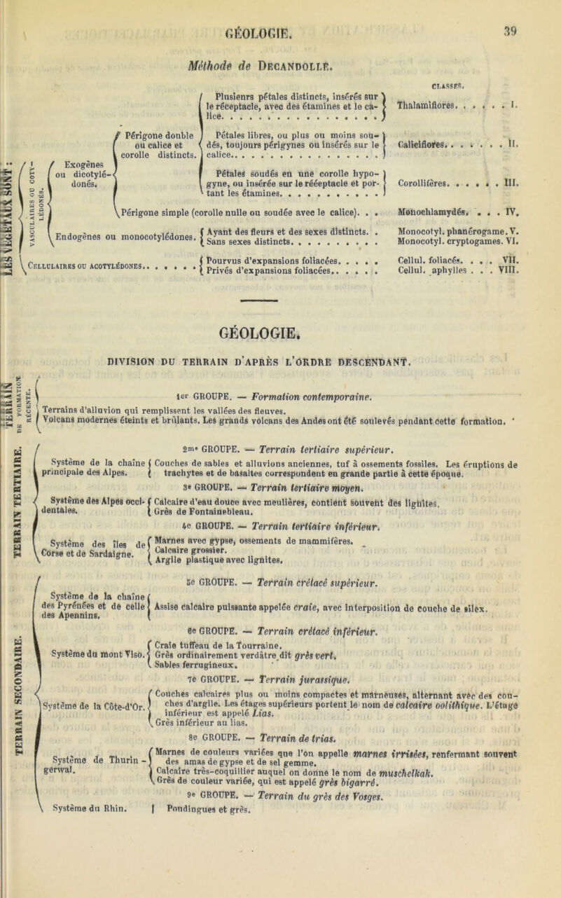 Méthode de Decandolle. **! S >** usa U3 ua «sft Md V CI. ASS ER. Plusieurs pétales distincts, insérés sur \ le réceptacle, avec des étamines et le ca- > Thalamiflores. lice ) Périgone double I Pétales libres, ou plus ou moins sou- ) ou calice et < dés, toujours périgynes ou insérés sur le > Caliciflores II. corolle distincts, j calice ) L / Exogènes ou dicotylé-<( F Pétales soudés en une corolle hypo- ° I donés, j l gyne, ou insérée sur le rééeptacle et por-J Corollifères. ..... III. * 5 ' f ' tant les étamines. X O « i \Périgone simple (corolle nulle ou soudée avec le calice). . . Monochlamydés, ... IV. H F g I ( Ayant des fleurs et des sexes distincts. . Monocotyl. phanérogame. V. S \Endoeenes ou monocotyledones. [ ^ sexe8 distincts Monocotyl. cryptogames. VI. ( Pourvus d’expansions foliacées Cellul. foliacés. . . . VII. Celujuihes ou acotylédones ( privés d’expansions foliacées Cellul. aphylles . . . VIII. GÉOLOGIE. DIVISION DU TERRAIN D’APRÈS l’ORDRÈ DESCENDANT. s» N* p < ~tS 1 -es £ *5* a 0 a H 5 z lcr GROUPE. — Formation contemporaine. Terrains d’alluvion qui remplissent les vallées des fleuves. Volcans modernes éteints et brûlants. Les grands volcans des Andes ont été soulevés pendant cette formation. * U es s H es td H K pa m*i es es td H Système de la chaîne principale des Alpes. Système de9 Alpes occi- dentales. Système des îles de Corse et de Sardaigne. I 2“* GROUPE. — Terrain tertiaire supérieur. Couches de sables et alluvions anciennes, tuf à ossements fossiles. Les éruptions de trachytes et de basaltes correspondent en grande partie à cette époque. 3e GROUPE. — Terrain tertiaire moyen. Calcaire d’eau douce avec meulières, contient Souvent des HghiteR. Grès de Fontainebleau. 4e GROUPE. — Terrain tertiaire inférieur. Marnes avec gypse, ossements de mammifères. Calcaire grossier. Argile plastique avec lignites. Ce GROUPE. — Terrain crétacé supérieur. Système de la chaîne ( des Pyrénées et de celle { Assise Calcaire puissante appelée craie, avec interposition de couche de silex, des Apennins. ( à es pmi ■< fi Z O u u «a «e es es bi H Système du mont Viso ■{ | Système de la Côte-d’Or. • Système de Thurin genval. Système du Rhin. ee GROUPE. •— Terrain crétacé inférieur. Craie tuffeau de la Tourraine. Grès ordinairement verdâtre dit grès vert. Sables ferrugineux. 7e GROUPE. — Terrain jurassique. Couches calcaires plus ou moins compactes et marneuses, alternant avèc des cou- ches d’argile. Les étages supérieurs portent le nom de calcaire oolithique. L’étagô inférieur est appelé Lias. Grès inférieur au lias. 8e GROUPE. — Terrain de trias. Marnes de couleurs variées que l’on appelle marnes irritées, renfermant souvent des amas de gypse et de sel gemme. Calcaire très-coquillier auquel on donne le nom de muschelkak. .Grès de couleur variée, qui est appelé grès bigarré. 9e GROUPE. — Terrain du grès des Vosges. Poudingue* et grès.