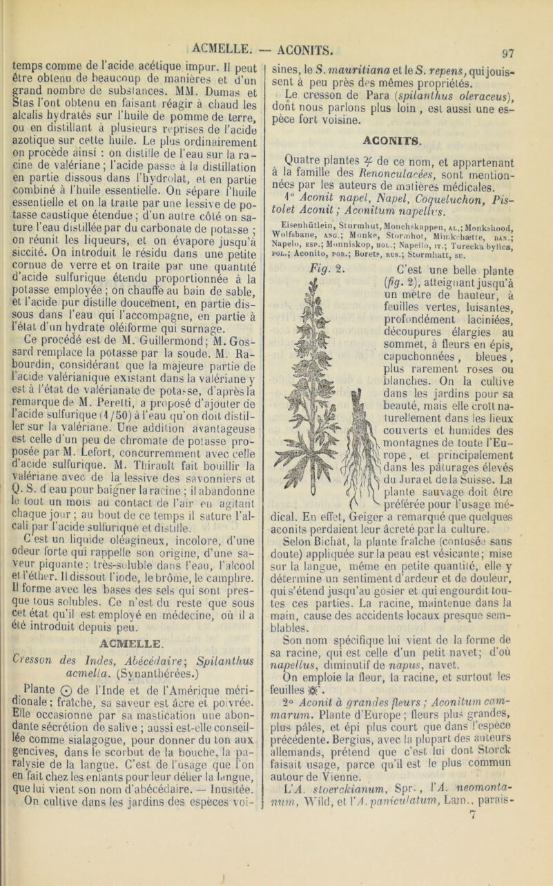 ACMELLE. — ACONITS. temps comme de l’acide acétique impur. Il peut être obtenu de beaucoup de manières et d’un grand nombre de subs lances. Mi\l. Dumas et Stas l’ont obtenu en faisant réagir à chaud les alcalis hydratés sur l’huile de pomme de terre, ou en distillant à plusieurs reprises de l’acide azotique sur cette huile. Le plus ordinairement on procède ainsi : on distille de l’eau sur la ra- cine de valériane ; l’acide passe à la distillation en partie dissous dans l’hydrolat, et en partie combiné à l’huile essentielle. On sépare l’huile essentielle et on la traite par une lessive de po- tasse caustique étendue ; d’un autre côté on sa- ture l’eau distillée par du carbonaLe de potasse ; on réunit les liqueurs, et on évapore jusqu’à siccité. On introduit le résidu dans une petite cornue de verre et on traite par une quantité d’acide sulfurique étendu proportionnée à la potasse employée ; on chauffe au bain de sable, et l’acide pur distille doucement, en partie dis- sous dans l’eau qui l’accompagne, en partie à l’état d’un hydrate oléiforme qui surnage. Ce procédé est de M. Guillermond; M. Gos- sard remplace la potasse par la soude. M. Ra- bourdin, considérant que la majeure partie de l’acide valérianique existant dans la valériane y esta l’état de valérianate de potage, d’après la remarque de M. Perelti, a proposé d’ajouter de l’acide sulfurique (1/50) à l’eau qu'on doit distil- ler sur la valériane. Une addition avantageuse est celle d un peu de chromate de potasse pro- posée par M. Lefort, concurremment avec celle d’acide sulfurique. M. Thirault fait bouillir la valériane avec de la lessive des savonniers et Q. S. d eau pour baigner la racine ; il abandonne le tout un mois au contact de l’air eu agitant chaque jour ; au bout de ce temps il sature l’al- cali par l’acide sulfurique et distille. C’est un liquide oléagineux, incolore, d’une odeur lorte qui rappelle son origine, d’une sa- veur piquante; très-soluble dans l’eau, l’alcool et l’éther. 11 dissout l’iode, le brome, le camphre. Il forme avec les bases des sels qui sont pres- que tous solubles. Ce n’est du reste que sous cet état qu’il est. employé en médecine, où il a été introduit depuis peu. ACMELLE. Cresson des Indes, Abécédaire; Spilanthus acmelta. (Synanthérées.) Plante © de l’Inde et de l’Amérique méri- dionale ; fraîche, sa saveur est âcre et poivrée. Elle occasionne par sa mastication une abon- dante sécrétion de salive ; aussi est-elle conseil- lée comme sialagogue, pour donner du ton aux gencives, dans le scorbut de la bouche, la pa- ralysie de la langue. C’est de l’usage que l’on en fait chez les entants pour leur délier la langue, que lui vient son nom d’abécédaire. — Inusitée. On cultive dans les jardins des espèces voi- sines, le S. mauritiana et le S. repens, qui jouis- sent à peu près des mêmes propriétés. Le cresson de Para (spilanthus oleraceus), dont nous parlons plus loin , est aussi une es- pèce fort voisine. ACONITS. Quatre plantes 2c de ce nom, et appartenant à la famille des Renonculacées, sont mention- nées par les auteurs de matières médicales. 1U Aconit napel, Napel, Coqueluchon, Pis- tolet Aconit ; Aconitum napcllvs. Eisenhütlein, Sturinliut, Monchskapppn, al.; Mnnkshood, Wolfsbane, ang.; Munke, Stor.nhot, Miir.kcliætte, da>-.; Napelo, esp.; Monniskop, hol.; Napello, it.; Turecka bylica’ pol.; Aconito, por.; Boret?, rus.; Stormhatt, su. C’est une belle plante (fiq. 2), atteignant jusqu’à un mètre de hauteur, à feuilles vertes, luisantes, profondément laciniées, découpures élargies au sommet, à fleurs en épis, capuchonnées, bleues , plus rarement roses ou blanches. On la cultive dans les jardins pour sa beauté, mais elle croît na- turellement dans les lieux couverts et humides des montagnes de toute l’Eu- rope , et principalement S dans les pâturages élevés du Jura et delà Suisse. La 1) plante sauvage doit être préférée pour l’usage mé- dical. En effet, Geiger a remarqué que quelques aconits perdaient leur âcreté par la culture. Selon Bichat, la plante fraîche (contusée sans doute) appliquée sur la peau est vésicante; mise sur la langue, même en petite quantité, elle y détermine un sentiment d’ardeur et de douleur, qui s’étend jusqu’au gosier et qui engourdit tou- tes ces parties. La racine, maintenue dans la main, cause des accidents locaux presque sem- blables. Son nom spécifique lui vient de la forme de sa racine, qui est celle d’un petit navet; d’où napellus, diminuLif de napus, navet. On emploie la fleur, la racine, et surtout les feuilles . 2° Aconit à grandes fleurs ; Aconitum cam- marum. Plante d’Europe ; fleurs plus grandes, plus pâles, et épi plus court que dans l’espèce précédente. Bergius, avec la plupart des auteurs allemands, prétend que c’est lui dont Storck faisait usage, parce qu’il est le plus commun autour de Vienne. L'A. sloerckianum, Spr-, Y A. neomon ta- nnin, Wild, et VA.paniculatuin, Lam., parais-