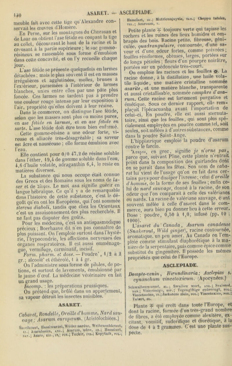 I40 ASARET. meuble fait avec cette tige qu Alexandre con- servait les œuvres d’Homère. En Perse, sur les montagnes du Chorasan et de Laar on obtient 1 ase ietide en coupant la lige au collet, découvrant le haut de la racine et la creusant’à la partie supérieure ; le suc gommo- résineux se rassemble sous forme d’émulsion dans cette concavité, et on l’y recueille chaque jour. L’ase fétide se présente quelquefois en larmes détachées ; mais le plus souvent il est en masses irrégulières et agglutinées, molles, brunes à l’extérieur, parsemées à l’intérieur de larmes blanches, unies entre elles par une pâte plus foncée. Ces larmes ne lardent pas à prendre une couleur rouge intense par leur exposition à l’air, propriété qu’elles doivent à leur résine. Dans le commerce, on distingue l’ase fétide, selon que les masses sont plus ou moins pures, en ase fétide en larmes, et en ase fétide en sorte. L’ase fétide doit être tenu bien enfermé. Cette gomme-résine a une odeur forte, vi- reuse et alliacée très-désagréable; sa saveur est âcre et nauséeuse ; elle forme émulsion avec l'eau. , , . . ,. Elle contient pour 0/0 47,2 de resme soluble dans l’éther, 19,4 de gomme soluble dans l’eau, 4,6 d’huile volatile, adraganthin 6,4, le reste en matières diverses. La substance qui nous occupe était connue des Grecs et des Romains sous les noms de la- ser et de liXcpov. Le mot asa signifie guérir en langue hébraïque. Ce qu’il y a de remarquable dans l’histoire de cette substance, cest le dé- goût qu’en ont les Européens, qui l’ont nommée stercus diaboli, tandis que chez les Orientaux c’est un assaisonnement des plus recherchés. 11 ne faut pas disputer des goûts. Pour les médecins, c’est un antispasmodique précieux; Boerhaave dit n en pas connaître de plus puissant. On l’emploie surtout dans 1 hysté- rie, l’hypocondrie, les affections nerveuses des organes respiratoires. Il est aussi emménago- gue, vermifuge, carminatif, incisif. Form. pharm. et dose. — Poudre ,1/2 à 2 gr.; alcoolé* et éthérolé, 1 à 4 gr. On l’administre sous forme de pilules, de po- tions, et surtout de lavements, émulsionné par le jaune d’œuf. La médecine vétérinaire en fait un grand usage. incomp. : les préparations prussiques. On prétend que, brûlé dans un appartement, sa vapeur détruit les insectes nuisibles. ASCLÉP1ADE. Hasselart, su.; Mutricunjayvie, tam.; Cheppu tataku, tel.; Azarourn, t. Petite plante ^ toujours verte qui tapisse les rochers et les ruines des lieux humides et om- bragés des bois. Racine petite, fibreuse, géni- culée, quadrangulaire, contournée, d’une sa- veur et d’une odeur fortes, comme poivrées; feuilles réniformes, obtuses, larges, portées sur de longs pétioles ; fleurs d’un pourpre noirâtre, portées sur un pédoncule très-court. On emploie les racines et les feuilles &. La racine donne, à la distillation , une huile vola- tile liquide, une matière cristalline nommée asarite, et une matière blanche, transparente et aussi cristallisable, nommée camphre cl'asa- rum. Cette racine est fortement purgative et émétique. Sous ce dernier rapport, elle rem- plaçait Tipécacuanha avant l’importation de celui-ci. En poudre, elle est aussi sternuta- toire, ainsi que les feuilles, qui sont plus spé- cialement employées en poudre comme tel, soit seules, soit mêlées à d’autres substances, comme dans la poudre Saint-Ange. L’hippiatrique emploie la poudre d asarum contre le farcin. # } vA<rapov, en grec, signifie je n’orne pas, parce que, suivant Pline, celte plante n entrait | point dans la composition des guirlandes dont i on se parait dans les fêtes. Son nom de caba- ! rel lui vient de l’usage qu’on en fait dans cer- tains pays pour dissiper I ivresse; celui d oreille d homme, de la forme de ses feuilles ; enfin ce- lui de nard sauvage, donné à la racine, de son odeur que l’on comparait à celle des valérianes Iou nards. La racine de valériane sauvage, éiant souvent mêlée à celle d asaret dans le com- merce, aura bien pu donner lieu à cette erreur. Dose ; poudre, 0,50 à 1,0; infusé (pp. 10 ; 1000). L'asaret du ’ Canada , Asarum canadense (Snakerout, Wild ginger), racine contournée, i aromatique, un peu amer. Au Canada on l’em- ploie comme stimulant diaphorétique à lama-, nièrede la serpentaire, puis comme épice comme substitut du gingembre. Il possède les mêmes propriétés que celui de l’Europe, ASCLEPIADE. Dompte-venin, Hirundinaria; Asclepias s* cynanchum vinceloxicum. (Apocynées.) Sclnvalbenwurzel, al.; Swallow wort, ano. ; Svalerod, r>\N.; Vincetosiga, esp.; Tegengiftige zydevrugt, hol.; Vincetossico, it.; Jaskotcz.e ziole, pol.; Vincetoxico, pob.; Tulært, su. ASARET. Cabaret, Rondelle, Oreille d’homme, Nard sau- vage : Asarum europœum. (Arislolochiées.) lia nlkvaut, llaselwuml, Wilder nardus, Weihrauchkraut, al.: Asarabacca, ang.; Asaruni, udne, ar.; Hasselurt, pan.; Asaru, esp., it,; î-on.; Tuckir, ind,, Kopytmk, pol., Plante 2C qui croit dans toute l’Europe, et dont la racine, formée d’un très-grand nombre de fibres, a été employée comme alexitère, ex- citant, vomitif, sudorifique et diurétique, à la dose de 1 à 2 grammes. C/est une plante sus- pecte.