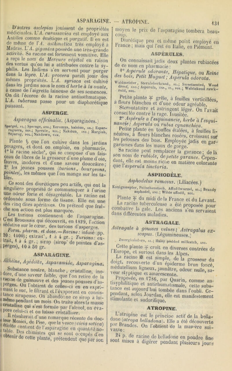 O ASPARAGINE. D'autres asclepias jouissent de propriétés médicinales. L’A. curassavica est employé aux Antilles comme émétique et purgatif. Il en est de même de l’A. aslhmatica très employé à Madras. L A. gigantea possède une très-grande activité. Sa racine est fortement vomitive. Elle a reçu le nom de Mercure végétal en raison des vertus qu’on lui a attribuées contre la sy- philis. Les Indiens s en servent pour purger dans la lèpre. L’A. procera paraît jouir des memes propriétés. L’A. syriaca est cultivé dans les jardins sous le nom d'herbe à la ouate, a cause de l’aigrette laineuse de ses semences, ün dit I écorce de la racine antiasthmatique. LA. tuberosa passe pour un diaphonique puissant. ^ ASPERGE. Asparagus offtcinalis. (Asparaginées.) Spargel, al.; Sperage, ang.; Yerumya, haleion, au.; Espar- raguera, esp.; Sperzie, hol.; Nakdun, ind.; Margiah, Szparog, pol.; Nakdown, tam. Plante V, que l’on cultive dans les jardins potagers, et dont on emploie, en pharmacie, î° la racine sèche*, qui se compose d’un fais- ceau de libres de la grosseur d’une plume d oie, fauves, inodores et d’une saveur douceâtre; -° les jeunes pousses {tarions, bourgeons, pointes), les mêmes que l’on mange sur ies ta- blés, . Ce sont des diurétiques peu actifs, qui ont la singulière propriété de communiquer à l’urine une odeur forte et désagréable. La racine est ordonnée sous forme de tisane. Elle est une des cinq dites apéritives. Ün prétend que fraî- che son action est plus marquée. Les tarions contiennent de l’asparagine, t est, Broussais qui découvrit, en 1829 l’action sédative sur le cœur, des tarions d'asperges. Eorm. p^arwi. et dose.—Racine: infusé (pp. rad T0)/ eXtrait*> ià*gr-; durions: ex- ra).«r«irp (sirop'depointesd'as- ASPARAGINE. Altheme, Agèdo'ite, Asparamide, Asparagina. Substance neutre, blanche, cristalline, ino- ore, d une saveur faible, que l’on retire de la ^gmmauve et des jeunes pousses d’as* rnanH* 0,1 l,°rICnt de Celles-C1 en en expri- esuc’ filtrant et 1 évaporant en consis- mA_e s,rupeuse. On abandonne ce sirop à lui- ;S,Pendant ? mois, On traite alors la masse n0r! ‘‘î18 qU! f es\formée par l’alcool, on éva- ‘p j,e celui-ci et on laisse cristalliser. ipnl SSuUerail d une marque récente du doc- 'étiolr?îeniCV de ?,Se’ qüelavesce (vicia sativa) t hle n°n ?tde l’asparagine en quantité no- ohtpnî P?8 chlinisles qul se sont occupés d’en enir de cette plante, prétendent que par son — ATROPINE. 131 moyen le prix de l’asparagine tombera beau- coup. Diurétique peu et même point employé en fiance; mais qui l’est én Italie, en Piémont. ASPÈRULES. On connaissait jadis deux plantes rubiacées de ce nom en pharmacie : i0 Aspérule odorante, Hépatique, ou Reine des bois, Petit Muguet ; Asperula odorata. Waldmeistei-, Sternleberkraut, al.; Svveetsented, Wood fuid, hol0’’ perula' E,P-> IT<’ P0R-Î Welriekeud rawk- , Petite plante if grêle, à feuilles verticillées, a fleurs blanches et d une odeur agréable. bternutatoire et astringent léger. On l’avait consei lee contre la rage. Inusitée. 2° Aspérule a Vesquinancie, herbe à l’esqui- navcie; Asperula ou rubia cynanchica. , Petite plante en touffes étalées, à feuilles li- néaires, a fleurs blanches rosées, croissant sur les pelouses des bois. Employée jadis en gar- garismes dans les maux de gorge. Sa racine peut remplacer la^garance; delà son nom de rubiole, de petite garance. Cepen- tant, elle est moins riche en matière colorante que 1 asperula tinctoria. ASPHODÈLE. Asphodelus ramosus. (Liliacées.) Konigsseepter, Peitscl.enstoch, Affodilwurzel, al.; Brandy asphodel, ang.; Wilde affodil, hol. Plante du midi delà France et du Levant. La racine tuberculeuse a été proposée pour rüThur r\ga,e’ ,L^S anciens s’en servaient dans differentes maladies. astragale. Astragale à gousses velues ; Astragalus ex- scapus. (Légumineuses.; . Zwergbalsdom, al.; Haisy podded milkatch, ang. Cette plante y croît en diverses contrées de 1 Europe, et surtout dans les Alpes. dnhfi ra8’n8 ® fSt ®imPlo. de la grosseur du doM’ recouverte d un epiderme brun foncé vpn^flT hSneux> Jaunâtre, odeur nulle, sa- veur styptique et amarescente. tisvnhimlm’ 8nf 17S6’, par Quârin> comme an- ■fmt i . q et anhrhumatismale, celle subs- tance est aujourd hui tombée dans l’oubli. Ce- ?MmniIUL Se ,0,‘ J°urdan> elle est manifestement stimulante et sudorifique. atropine. L atropine est le princme actif de la bella- done (atropa belladona). File a été découverte p n Lrandes. On l’obtient de la map'ère sui- vante: p. de racine do belladone en poudre fine sont mises à digérer pendant plusieurs jours-