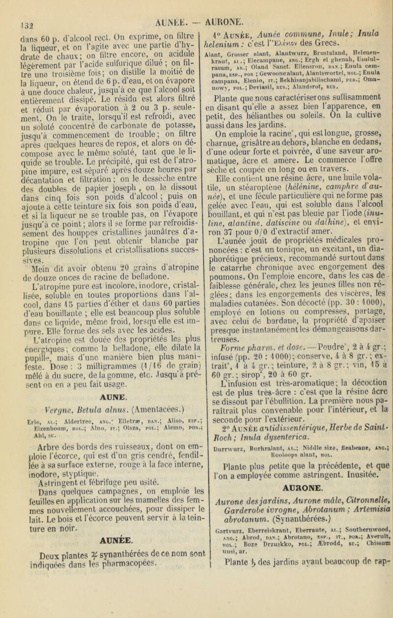 dans 60 p. d’alcool réel. On exprime, ou filtre la liqueur, et on l’agite avec une paitie d hy- drate de chaux; on filtre encore, on acidulé légèrement par l’acide sulfurique dilue ; on fil- tre une troisième fois; on distille la moitié de la liqueur, on étend de 6 p. d’eau, et on évapore à une douce chaleur, jusqu’à ce que l’alcool soit entièrement dissipé. Le résidu est alors filtré et réduit par évaporation à 2 ou 3 p. seule- ment. On le traite, lorsqu’il est refroidi, avec un soluté concentré de carbonate de potasse, jusqu’à commencement de trouble ; on filtre après quelques heures de repos, et alors on dé- compose avec le même soluté, tant quelle li- quide se trouble. Le précipité, qui est de 1 atro- pine impure, est séparé après douze heures par décantation et filtration; on le dessèche entre des doubles de papier josepli, on le dissout dans cinq fois son poids d alcool ; puis on ajoute à cette teinture six fois son poids d’eau, et si la liqueur ne se trouble pas, on l’évapore jusqu’à ce point; alors il se forme par refroidis- sement des houppes cristallines jaunâtres d’a- tropine que I on peut obtenir blanche par plusieurs dissolutions et cristallisations succes- sives. Mein dit avoir obtenu 20 grains d’atropine de douze onces de racine de belladone. L’atropine pure est incolore, inodore, cristal- lisée, soluble en toutes proportions dans l’al- cool, dans 15 parties d’éther et dans 60 parties d’eau bouillante ; elle est beaucoup plus soluble dans ce liquide, même froid, lorsqu’elle est im- pure. Elle forme des sels avec les acides. L’atropine est douée des propriétés les plus énergiques; comme la belladone, elle dilate la pupille, mais d’une manière bien plus mani- feste. Dose: 3 milligrammes (1/16 de grain) mêlé à du sucre, de la gomme, etc. .'usqu’à pré- sent on en a peu fait usage. AUNE. Vergne, Betula alnus. (Amenlacées.) Erle, ai,.; Aldertree, ang.; Elletræ, dan.; Aliso, F.sr.; Elzenboom, hoi,.; Alno, rr.; Olsza, pol.; Alemo, pou.; Ahl, su. Arbre des bords des ruisseaux, dont on em- ploie l’écorce, qui est d’un gris cendré, fendil- lée à sa surface externe, rouge à la face interne, inodore, slvptique. Astringent et fébrifuge peu usité. Dans quelques campagnes, on emploie les feuilles en application sur les mamelles des fem- mes nouvellement accouchées, pour dissiper le lait. Le bois et l’écorce peuvent servir à la tein- ture en noir. AUNÉE. Deux plantes ^ synanthérées de ce nom sont indiquées dans les pharmacopées. 1° Aunée, Année commune, Inule; Inula helenium : c’est l”EXeV.ov des Grecs. Alant, Grosser alant, Alantwurz, Brustaland, lleleuen- kraut, ai.; Elecampaue, ang.; Ergh el ghenali, üsulul- rasum, au.; Oland Sanct. Eliensron, dan.; Enula cam- pa,^ esp., por ; Ggavooîigalant, Alantswortol, hol., Enula campana, Elenio, it.; Bekhisanjabilischami, prit.; Oma- nowy, pol.; Deviasil, nus.; Alandsrot, rus. Plante que nous caractériserons suffisamment en disant quelle a assez bien l’apparence, en petit, des hélianthes ou soleils. On la cultive aussi dans les jardins. On emploie la racine’, qui est longue, grosse, charnue, grisâtre au dehors, blanche en dedans, d’une odeur forte et poivrée, d’une saveur aro- matique, âcre et amère. Le commerce 1 offre sèche et coupée en long ou en travers. Elle contient une résine âcre, une huile vola- tile, un sléaroplène (hélénine, camphre d'au- née), et une fécule particulière qui ne forme pas gelée avec l’eau, qui est soluble dans 1 alcool bouillant, et qui n’est pas bleuie par l’iode (mu- line,, alantine, daliscine ou dalhine), et envi- ron 37 pour 0/0 d’extractif amer. L’aunée jouit de propriétés médicales pro- noncées : c’est un tonique, un excitant, un dia- phorétique précieux, recommandé surtout dans le catarrhe chronique avec engorgement des poumons. On l’emploie encore, dans les cas de faiblesse générale, chez les jeunes filles non ré- glées; dans les engorgements des viscères, les maladies cutanées.' Son décocté (pp. 30 : 1000), employé en lotions ou compresses, partage, avec celui de bardane, la propriété d’apaiser presque instantanément les démangeaisons dar- treuses. Forme pharm. et dose. —Poudre1, 2 à 4 gr.; infusé (pp. 20 : 1000); conserve, 4 à 8 gr. ; ex- trait*, 1 à 4 gr.; teinture, ?, à 8 gr.; vin, 15 a 60 gr.; sirop*, 20 à 60 gr. L’infusion est très-aromatique; la décoction est de plus très-âcre : c’est que la résine âcrc se dissout par l’ébullition. La première nous pa- raîtrait plus convenable pour l’intérieur, et la seconde pour l’extérieur. 2° Aunée antidissentèrique, Herbe de Saint* Iioch; Inula dysenterica. Durrwurz, Burhralant, al.; Nidille size, Üeabeane, ang.; Iiooloops alant, hol. Plante plus petite que la précédente, et que l’on a employée comme astringent. Inusitée. AURONE. Aurone des jardins, Aurone mâle, Citronnelle, Garderobe ivrogne, Abrotanum; Artemisia abrotanum. (Synanthérées.) Gartvurz, Eberreiskratit, Eberraute, al.; Southernwood, ang.; Abrod, dan.; Abrotano, esp-, it., por.; Avoruit, hol.; Boze Drzuskko, pol.; Æbrodd, $u.; Chissum unsi, ar. Plante 1> des jardins ayant beaucoup de rap-