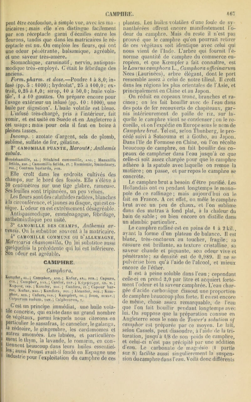 peut être confondue, à simple vue, avec les ma- tricaires ; mais elle s’en distingue facilement par son réceptacle garni d’écailles entre les tleurons, tandis que dans les matricaires le ré- ceptacle est nu. On emploie les fleurs, qui ont une odeur pénétrante, balsamique, agréable, et une saveur très-amère. Stomachique, carminatif, nervin, antispas- modique très-employé. C’était le fébrifuge des anciens. Form.pharm. et dose.—Poudre 1 à 8,0; in- fusé (pp. 5 : 1000); hydrolat*, 25 à 100,0; ex- trait, 0,25 à 1,0; sirop, 10 à 50,0 ; huile vola- tile*, 1 a 10 gouttes. On prépare encore pour l’usage extérieur un infusé (pp. 10 : 1000), une huile par digestion*. L’huile volatile est bleue. L’infusé très-chargé, pris à l’intérieur, fait vomir, et est usité en Suède et en Angleterre à cet usage ; mais pour cela il faut en boire à pleines tasses. Incornp. : azotate d’argent, sels de plomb, sublimé, sulfate de fer, gélatine. 2° camomille puante, MaroutS ; Anthémis cotula. Hundskamille, al-; Stinkind Ciin'omille, ang. ; Mazanilla fetida, esp. ; Camomilla fefida, it. ; Ilumienic, Smindzacy, pol.; Contusa bastarda, por. Elle croît dans les endroits cultivés des champs, sur le bord des fossés. Elle s’élève à 30 centimètres sur une tige glabre, rameuse. Ses feuilles sont Iripinnées, un peu velues. Les fleurs sontdescalathides radiées, blanches à la circonférence, et jaunes au disque, qui est co- nique. L’odeur en est extrêmement désagréable. Antispasmodique, omménagogue, fébrifuge, anthelminthique peu usité. 3° camomille ues champs, Anthémis ar- vensis. On la substitue souvent à la matricaire. 4° CAMOMILLE COMMUNE OU D’ALLEMAGNE, Matriearia chamomilla. On lui substitue aussi uelquefois la précédente qui lui est inférieure, on odeur est agréable. CAMPHRE. Camphora. Kiimpfer, al. ; Camphor, a.ng.; Kafur, ar., per. ; Capurn, cyn.; Cainpher, dan,; Canfor, esp.; K 's./j-fci/poc, cr. m. ; Kupoor, ind. ; Ramier, iigl.; Canfora, it. ; Capour bar- rns, Kufur, mai..; Kamfnra, pol.; Aleanlor, por.; Kam— P*i<tr, nus.; Cafura, san.; Kampfert, su.; lono, sumat.; Carpprum sudura, ya.m.; Calphourou, r. t C est un principe immédiat, une huile vola- tile concrète, qui existe dans un grand nombre de végétaux, parmi lesquels nous citerons-en particulier le sassafras, le cannelier, legalanga, •a zedoaire, le gingembre, les cardamomes et autres amomées. Les labiées, et particulière- ment le thym, la lavande, le romarin, en con- tiennent beaucoup dans leurs huiles essentiel- . aussi Proust avait-il fondé en Espagne une mdustriepour l’exploitation du camphre de ces plantes. Les huiles volatiles d’une foule de sv- nanthérées offrent encore manifestement l’o- deur du camphre. Mais du reste il n’est pas prouvé que le camphre qu’on pourrait retirer de ces végétaux soit identique avec celui qui nous vient de l’Inde. L’arbre qui fournit l’é- norme quantité de camphre du commerce eu- ropéen, et que Koempfer a fait connaître, est le Lanrus camphora L., Camphora of/icinarum Nees (Laurinées), arbre élégant, dont le port ressemble assez à celui de notre tilleul. Il croît dans les régions les plus orientales de l’Asie, et principalement en Chine et au Japon. On réduit en copeaux tronc, branches et ra- cines; on les fait bouillir avec de l’eau dans des pots de fer recouverts de chapiteaux, gar- nis intérieurement de paille de riz, sur la- quelle le camphre vient se condenser ; on le re- cueille, et on l’expédie en Europe sous le nom de Camphre brut. Tel est, selon ïhunberg, le pro- cédé suivi à Satsouma et à Gotho, au Japon. Dans l’île de Formose en Chine, où l’on récolte beaucoup de camphre, on fait bouillir des co- peaux de camphrier dans l’eau jusqu’à ce que celle-ci soit assez chargée pour que le camphre adhère à la spatule avec laquelle on remue la matière; on passe, et par repos le camphre se concrète. Le camphre brut a besoin d’être purifié. Les Hollandais ont eu pendant longtemps le mono- pole de ce raffinage ; mais aujourd’hui on le fait en France. A cet effet, on mêle le camphre brut avec un peu de chaux, et l’on sublime dans des matras à fond plat, à la chaleur du bain de sable ; ou bien encore on distille dans un alambic particulier. Le camphre raffiné est en pains de 1 à 2 kil., ayant la forme d’un plateau de balance. Il est blanc, très-onctueux au toucher, fragile; sa cassure est brillante, sa texture cristalline, sa sa veur chaude et piquante, son odeur vive et pénétrante; sa densité est do 0,989. Il ne se pulvérise bien qu’à l’aide de l’alcool, et mieux encore de l’éther. Il est à peine soluble dans l’eau ; cependant celle-ci en prend 2,0 par litre et acquiert, forte- ment l’odeur et la saveur camphrée. L’eau char- gée d’acide carbonique dissout une proportion de camphre beaucoup plus forte. Il en est encore de même, chose assez remarquable, de l'eau que 1 on fait bouillir pendant longtemps avec lui. On suppose que la préparation connue en Angleterre sous le nom de Toioer’s solution of camphor est préparée par ce moyen. Le lait, selon Cassels, peut dissoudre, à l’aide de la tri- turation, jusqu’à 1/8 de son poids de camphre, et celui-ci n’est pas précipité par une addition d’eau. Le carbonate de magnésie (1 partie sur 8) facilite aussi singulièrement la suspen- sion du camphre dans l’eau. Voilà donc différents