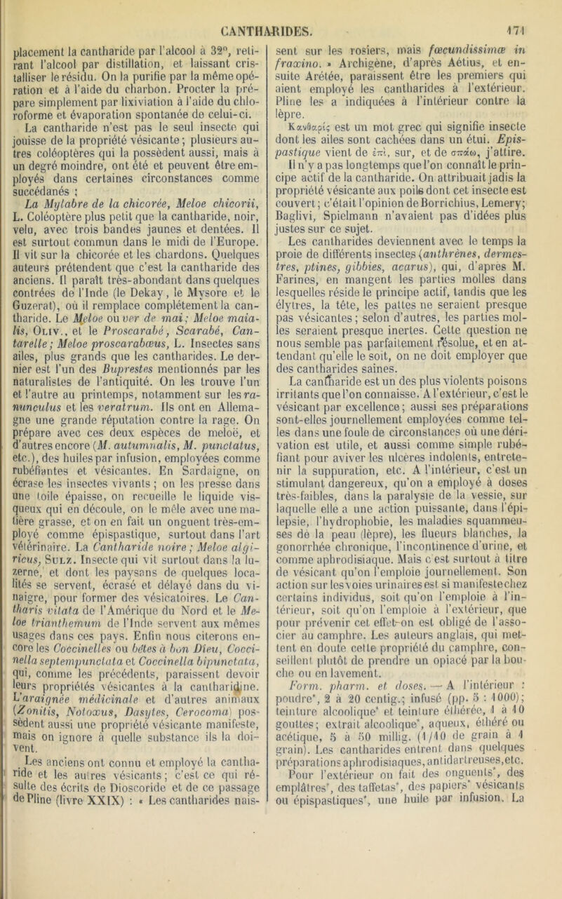 placement la cantharide par l’alcool à 32°, reti- rant l’alcool par distillation, et laissant cris- talliser le résidu. On la purifie par la même opé- ration et à l’aide du charbon. Procter la pré- pare simplement par lixiviation à l’aide du chlo- roforme et évaporation spontanée de celui-ci. La cantharide n’est pas le seul insecte qui jouisse de la propriété vésicante ; plusieurs au- tres coléoptères qui la possèdent aussi, mais à un degré moindre, ont été et peuvent être em- ployés dans certaines circonstances comme succédanés ; La Mylabre de la chicorée, Meloe chicorii, L. Coléoptère plus petit que la cantharide, noir, velu, avec trois bandes jaunes et dentées. 11 est surtout commun dans le midi de l’Europe. Il vit sur la chicorée et les chardons. Quelques auteurs prétendent que c’est la cantharide des anciens. Il paraît très-abondant dans quelques contrées de l’Inde (le Dekay, le Mysore et le Guzerat), où il remplace complètement la can- tharide. Le Meloe ou ver de mai; Meloe maia- lis, Ouv., et le Proscarabê, Scarabé, Can- tarelle; Meloe proscarabœus, L. Insectes sans ailes, plus grands que les cantharides. Le der- nier est l’un des Buprestes mentionnés par les naturalistes de l’antiquité. On les trouve l’un et l’autre au printemps, notamment sur les ra- nunculus et les veratrum. Ils ont en Allema- gne une grande réputation contre la rage. On prépare avec ces deux espèces de meloe, et d’autres encore (M. autumnalis, M. punclatus, etc.), des huilespar infusion, employées comme rubéfiantes et vésicantes. En Sardaigne, on écrase les insectes vivants ; on les presse dans une toile épaisse, on recueille le liquide vis- queux qui en découle, on le mêle avec une ma- tière grasse, et on en fait un onguent très-em- ployé comme épispastique, surtout dans l’art vétérinaire. La Cantharide noire ; Meloe algi- ricus, Sulz. Insecte qui vil surtout, dans la lu- zerne, et dont les paysans de quelques loca- lités se servent, écrasé et délayé dans du vi- naigre, pour former des vésicatoires. Le Can- tharis vitata de l’Amérique du Nord et le Me- loe trianthemum de l’Inde servent aux mêmes usages dans ces pays. Enfin nous citerons en- core les Coccinelles ou bêtes à bon Dieu, Cocci- nella septempunclata et Coccinella bipunctata, qui, comme les précédents, paraissent devoir leurs propriétés vésicantes à la canlharidjne. L’araignée médicinale et d’autres animaux (Zonitis, Notoxus, Dasytes, Cerocoma) pos- sèdent aussi une propriété vésicante manifeste, mais on ignore à quelle substance ils la doi- vent. Les anciens ont connu et employé la cantha- ride et les aulres vésicants; c’est ce qui ré- sulte des écrits de Dioscoride et de ce passage de Pline (livre XXIX) : « Les cantharides nais- sent sur les rosiers, mais fœcundissimœ in fraxino. » Archigène, d’après Aétius, et en- suite Arétée, paraissent être les premiers qui aient employé les cantharides à l’extérieur. Pline les a indiquées à l’intérieur contre la lèpre. Kavôapî; est un mot grec qui signifie insecte dont les ailes sont cachées dans un étui. Epis- pastique vient de êm, sur, et de <T7»à«, j’attire. Il n’v a pas longtemps que l’on connaît le prin- cipe actif de la cantharide. On attribuait jadis la propriété vésicante aux poite dont cet insecte est couvert; c’était l’opinion de Borrichius, Lemery; Baglivi, Spielmann n’avaient pas d’idées plus justes sur ce sujet. Les cantharides deviennent avec le temps la proie de différents insectes (anthrènes, dermcs- tres, ptines, gibbies, acarus), qui, d’apres M. Farines, en mangent les parties molles dans lesquelles réside le principe actif, tandis que les élytres, la tête, les pattes ne seraient presque pas vésicantes ; selon d’autres, les parties mol- les seraient presque inertes. Cette question ne nous semble pas parfaitement résolue, et en at- tendant qu’elle le soit, on ne doit employer que des cantharides saines. La cantharide est un des plus violents poisons irritants que l’on connaisse. A l’extérieur, c’est le vésicant par excellence; aussi ses préparations sont-elles journellement employées comme tel- les dans une foule de circonstances où une déri- vation est utile, et aussi comme simple rubé- fiant pour aviver les ulcères indolents, entrete- nir la suppuration, etc. A l’intérieur, c’est un stimulant dangereux, qu’on a employé à doses très-faibles, dans la paralysie de la vessie, sur laquelle elle a une action puissante, dans l’épi- lepsie, l’hydrophobie, les maladies squammeu- ses de la peau (lèpre), les flueurs blanches, la gonorrhée chronique, l’incontinence d’urine, et comme aphrodisiaque. Mais c’est surtout à titre de vésicant qu’on l’emploie journellement. Son action sur lesvoies urinaires est si manifestechez certains individus, soit qu’on l’emploie à l’in- térieur, soit qu’on l’emploie à l’extérieur, que pour prévenir cet effet-on est obligé de l’asso- cier au camphre. Les auteurs anglais, qui met- tent en doute cette propriété du camphre, con- seillent plutôt de prendre un opiacé par la bou- che ou en lavement. Form. pharm. et doses. —• A l’intérieur poudre*, 2 à 20 centig.; infusé (pp. 5 : 1000); teinture alcoolique* et teinture éthérée, I à 10 gouttes; extrait alcoolique*, aqueux, éthéré ou acétique, 5 à 50 millig. (1/10 de grain à 1 grain). Les cantharides entrent dans quelques préparations aphrodisiaques, antidarlreuses,etc. Pour l’extérieur on fait des onguents , des emplâtres*, des taffetas*, des papiers vésicants ou épispastiques*, une huile par infusion. La