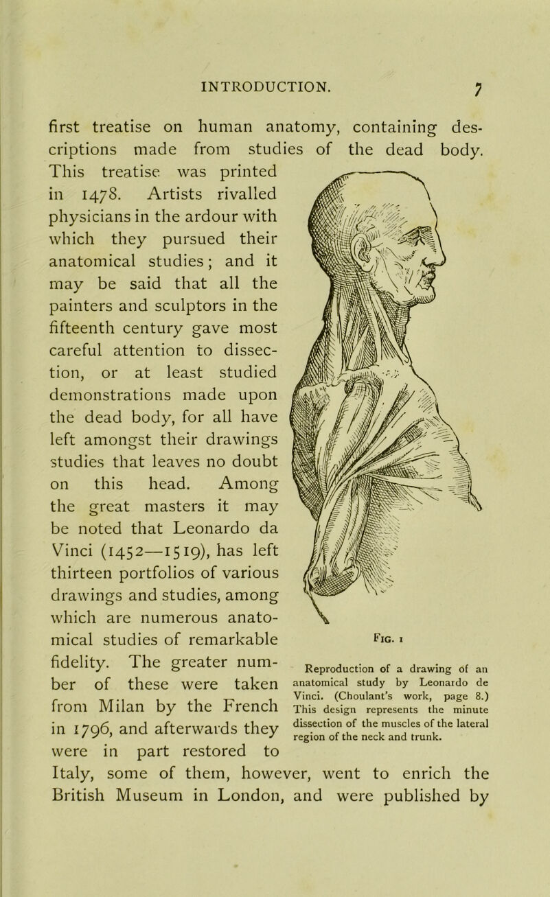 ; first treatise on human anatomy, containing des- criptions made from studies of the dead body. This treatise was printed in 1478. Artists rivalled physicians in the ardour with which they pursued their anatomical studies ; and it rnay be said that ail the painters and sculptors in the fifteenth century gave most careful attention to dissec- tion, or at least studied démonstrations made upon the dead body, for ail hâve left amongst their drawings studies that leaves no doubt this head. on Among the great masters it may be noted that Leonardo da Vinci (1452—1519), has left thirteen portfolios of various drawings and studies, among which are numerous anato- mical studies of remarkable fig. i fidelity. The greater num- Eeproduction of a drawing ot a„ ber of these were taken anatomical study by Leonardo de Vinci. (Choulant’s work, page 8.) nom Milan by the Jrrench This design represents the minute in 1796, and afterwards they dation of the mUsci«.ofth. latéral were in part restored to Italy, some of thein, however, went to enrich the British Muséum in London, and were published by