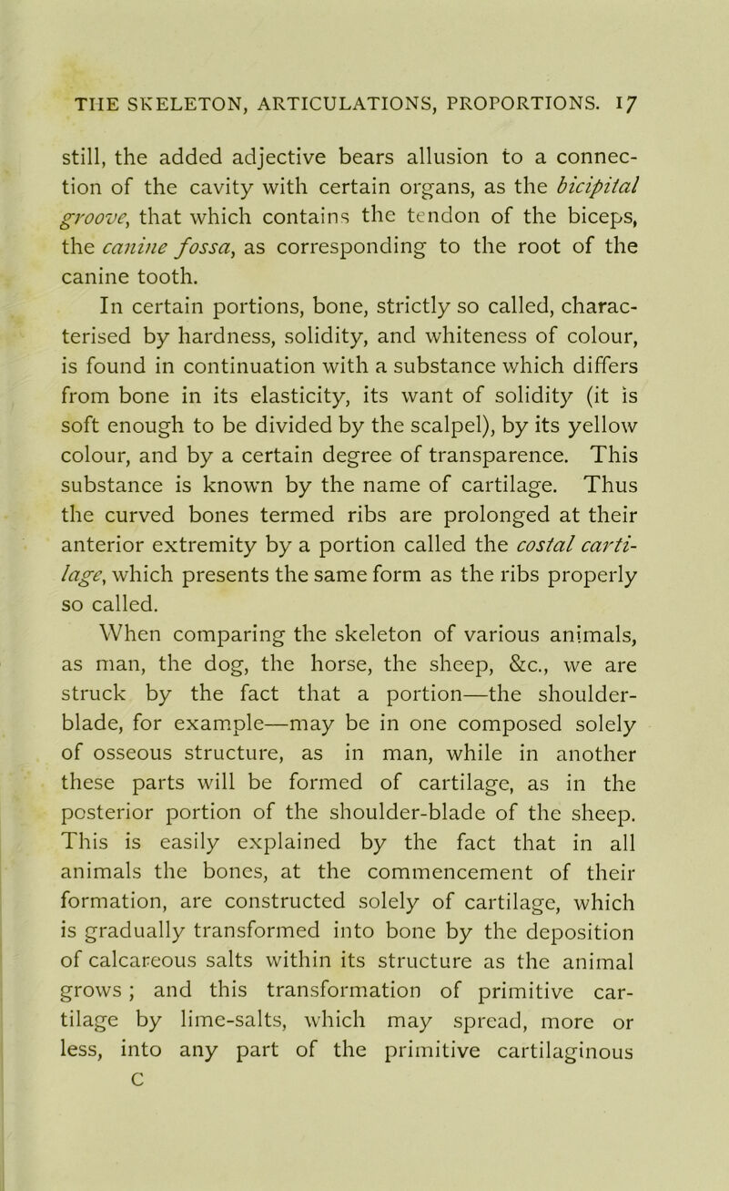 still, the added adjective bears allusion to a connec- tion of the cavity with certain organs, as the bicipital groove; that which contai ns the tendon of the biceps, the canine fossa, as corresponding to the root of the canine tooth. In certain portions, bone, strictly so called, charac- terised by hardness, solidity, and whiteness of colour, is found in continuation with a substance which differs from bone in its elasticity, its want of solidity (it is soft enough to be divided by the scalpel), by its yellow colour, and by a certain degree of transparence. This substance is known by the name of cartilage. Thus the curved bones termed ribs are prolonged at their anterior extremity by a portion called the costal carti- lage, which présents the same form as the ribs properly so called. When comparing the skeleton of various animais, as man, the dog, the horse, the sheep, &c., we are struck by the fact that a portion—the shoulder- blade, for example—may be in one composed solely of osseous structure, as in man, while in another these parts will be formed of cartilage, as in the posterior portion of the shoulder-blade of the sheep. This is easily explained by the fact that in ail animais the bones, at the commencement of their formation, are constructed solely of cartilage, which is gradually transformed into bone by the déposition of calcareous salts within its structure as the animal grows ; and this transformation of primitive car- tilage by lime-salts, which may spread, more or less, into any part of the primitive cartilaginous C