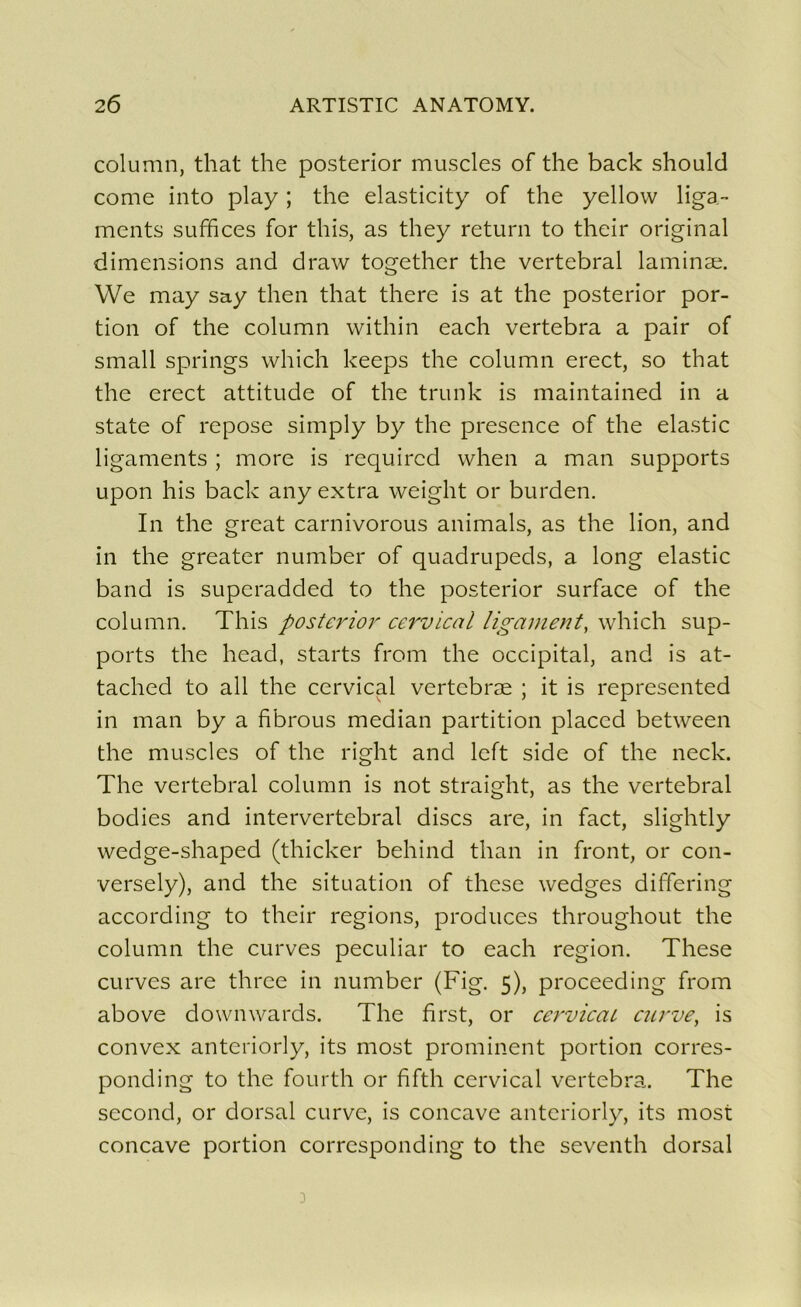 column, that the posterior muscles of the back should corne into play ; the elasticity of the yellow liga- ments suffices for this, as they return to their original dimensions and draw together the vertébral laminæ. We may say then that there is at the posterior por- tion of the column within each vertebra a pair of small springs which keeps the column erect, so that the erect attitude of the trunk is maintained in a State of repose simply by the présence of the elastic ligaments ; more is required when a man supports upon his back any extra weight or burden. In the great carnivorous animais, as the lion, and in the greater number of quadrupeds, a long elastic band is superadded to the posterior surface of the column. This posterior cervical ligament, which sup- ports the head, starts from the occipital, and is at- tached to ail the cervical vertebræ ; it is represented in man by a fibrous médian partition placcd between the muscles of the right and left side of the neck. The vertébral column is not straight, as the vertébral bodies and intervertébral dises are, in fact, slightly wedge-shaped (thicker behind than in front, or con- versely), and the situation of these wedges differing according to their régions, produces throughout the column the curves peculiar to each région. These curvcs are three in number (Fig. 5), proceeding from above downwards. The first, or cervicaL curve, is convex anteriorly, its most prominent portion corres- ponding to the fourth or fifth cervical vertebra. The second, or dorsal curvc, is concave anteriorly, its most concave portion corresponding to the seventh dorsal