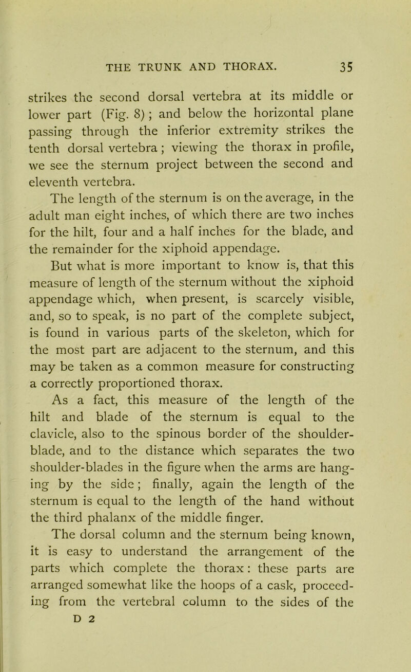strikes the second dorsal vertebra at its middle or lower part (Fig. 8) ; and below the horizontal plane passing through the inferior extremity strikes the tenth dorsal vertebra ; viewing the thorax in profile, we see the sternum project between the second and eleventh vertebra. The length of the sternum is on the average, in the adult man eight inches, of which there are two inches for the hilt, four and a half inches for the blade, and the remainder for the xiphoid appendage. But what is more important to know is, that this measure of length of the sternum without the xiphoid appendage which, when présent, is scarcely visible, and, so to speak, is no part of the complété subject, is found in various parts of the skeleton, which for the most part are adjacent to the sternum, and this may be taken as a common measure for constructing a correctly proportioned thorax. As a fact, this measure of the length of the hilt and blade of the sternum is equal to the clavicle, also to the spinous border of the shoulder- blade, and to the distance which séparâtes the two shoulder-blades in the figure when the arms are hang- ing by the side ; flnally, again the length of the sternum is equal to the length of the hand without the third phalanx of the middle finger. The dorsal column and the sternum being known, it is easy to understand the arrangement of the parts which complété the thorax : these parts are arranged somewhat like the hoops of a cask, proceed- ing from the vertébral column to the sides of the D 2