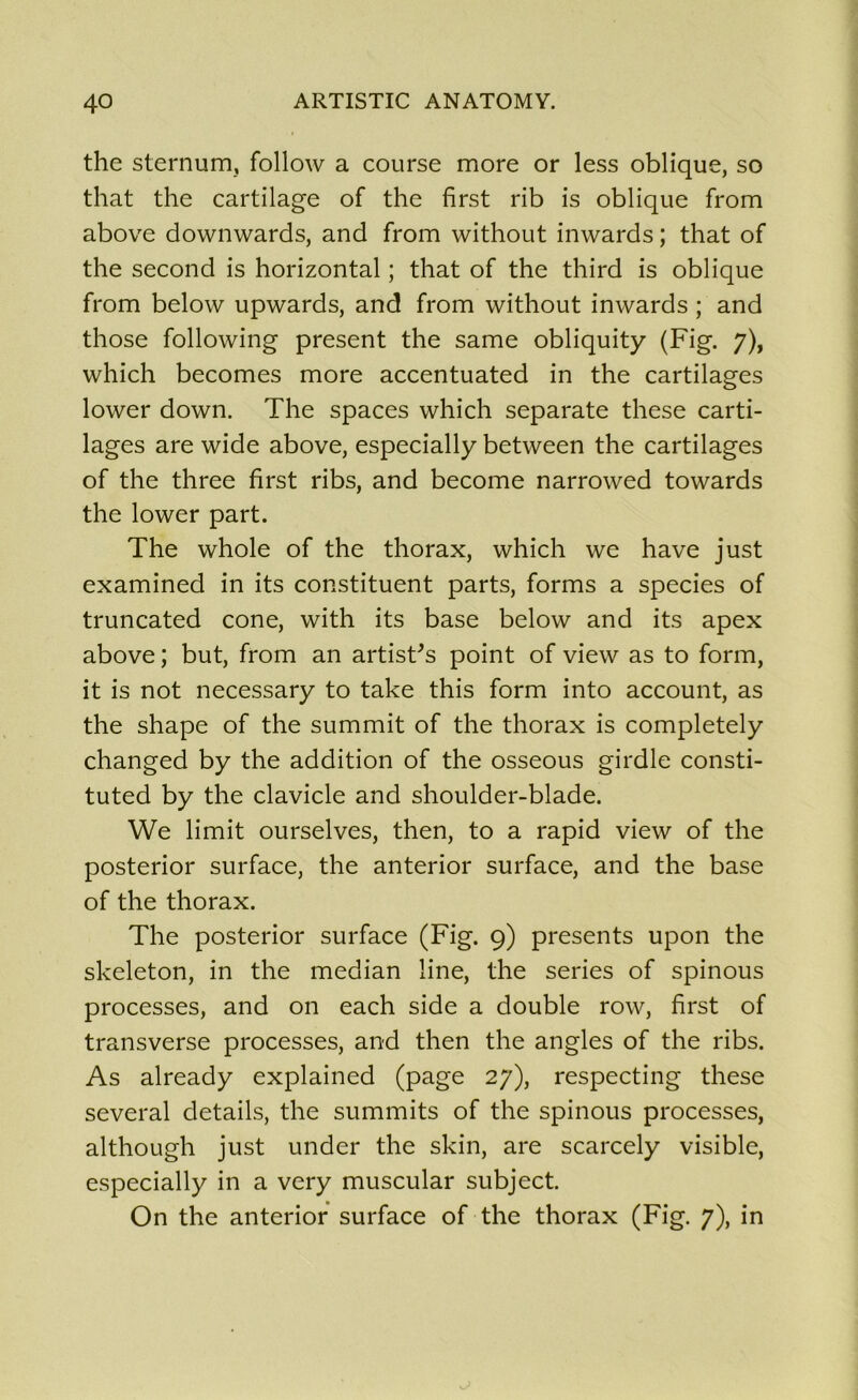 the sternum, follow a course more or less oblique, so that the cartilage of the first rib is oblique from above downwards, and from without inwards ; that of the second is horizontal ; that of the third is oblique from below upwards, and from without inwards ; and those following présent the same obliquity (Fig. 7), which becomes more accentuated in the cartilages lower down. The spaces which separate these carti- lages are wide above, especially between the cartilages of the three first ribs, and become narrowed towards the lower part. The whole of the thorax, which we hâve just examined in its constituent parts, forms a species of truncated cône, with its base below and its apex above ; but, from an artistes point of view as to form, it is not necessary to take this form into account, as the shape of the summit of the thorax is completely changed by the addition of the osseous girdle consti- tuted by the clavicle and shoulder-blade. We limit ourselves, then, to a rapid view of the posterior surface, the anterior surface, and the base of the thorax. The posterior surface (Fig. 9) présents upon the skeleton, in the médian line, the sériés of spinous processes, and on each side a double row, first of transverse processes, and then the angles of the ribs. As already explained (page 27), respecting these several details, the summits of the spinous processes, although just under the skin, are scarcely visible, especially in a very muscular subject. On the anterior surface of the thorax (Fig. 7), in