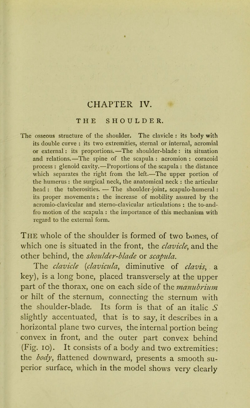 THE SHOULDER. The osseous structure of the shoulder. The clavicle : its body with its double curve : its two extremities, sternal or internai, acromial or external : its proportions.—The shoulder-blade : its situation and relations.—The spine of the scapula : acromion : coracoid process : glenoid cavity.—Proportions of the scapula : the distance which séparâtes the right from the left.—The upper portion of the humérus : the surgical neck, the anatomical neck : the articular head : the tuberosities. — The shoulder-joint, scapulo-humeral : its proper movements : the increase of mobility assured by the acromio-clavicular and sterno-clavicular articulations : the to-and- fro motion of the scapula : the importance of this mechanism with regard to the external form. The whole of the shoulder is formed of two bones, of which one is situated in the front, the clavicle, and the other behind, the shoulder-blade or scapida. The clavicle (clavicula, diminutive of clavis, a key), is a long bone, placed transversely at the upper part of the thorax, one on each side of the manubrium or hilt of the sternum, connecting the sternum with the shoulder-blade. Its form is that of an italic 5 slightly accentuated, that is to say, it describes in a horizontal plane two curves, the internai portion being convex in front, and the outer part convex behind (Fig. io). It consists of a body and two extremities: the body, flattened downward, présents a smooth su- perior surface, which in the model shows very clearly