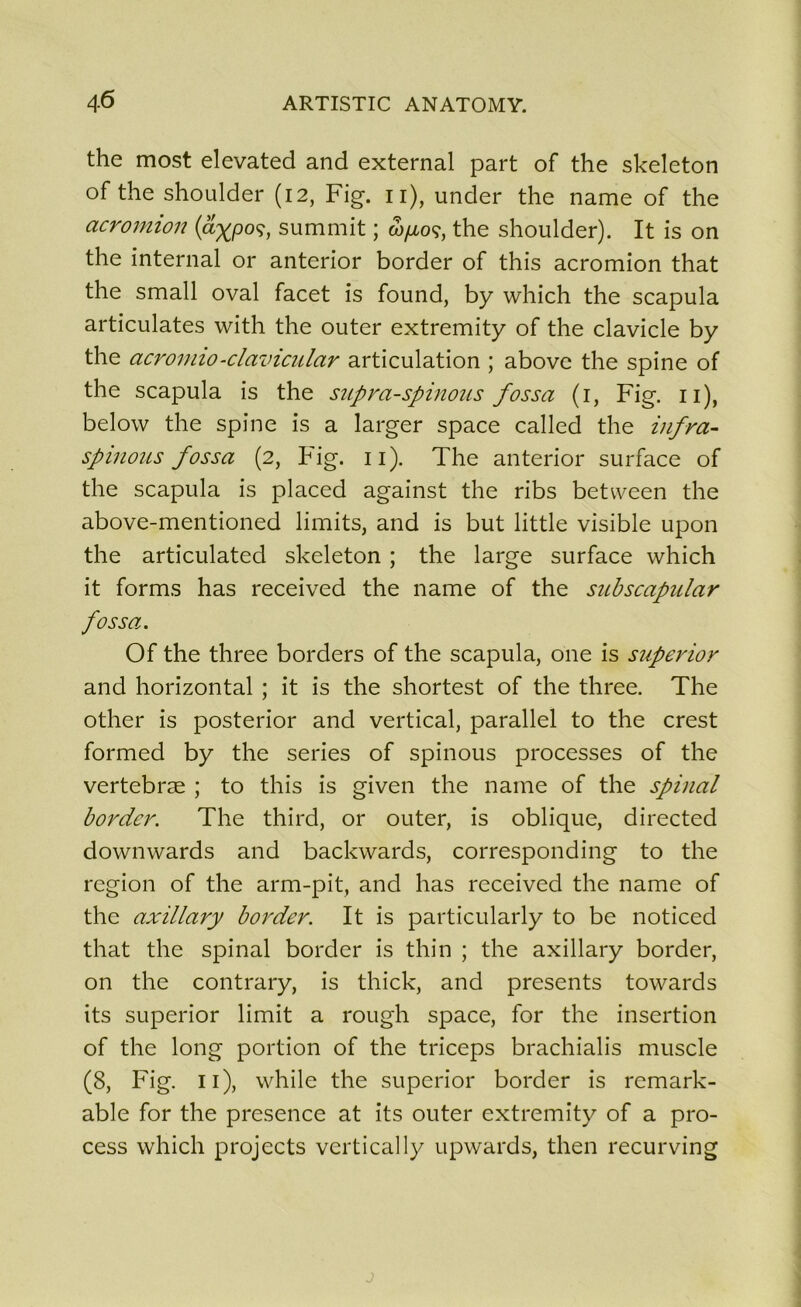 the most elevated and external part of the skeleton of the shoulder (12, Fig. 11), under the name of the acromion (a^poç, summit ; oytoç, the shoulder). It is on the internai or anterior border of this acromion that the small oval facet is found, b y which the scapula articulâtes with the outer extremity of the clavicle by the acromio-clavicular articulation ; abovc the spine of the scapula is the snpra-spinous fossa (1, Fig. 11), below the spine is a larger space called the infra- spinous fossa (2, Fig. 11). The anterior surface of the scapula is placed against the ribs between the above-mentioned limits, and is but little visible upon the articulated skeleton ; the large surface which it forms has received the name of the subscapular fossa. Of the three borders of the scapula, 011e is superior and horizontal ; it is the shortest of the three. The other is posterior and vertical, parallel to the crest formed by the sériés of spinous processes of the vertebræ ; to this is given the name of the spinal border. The third, or outer, is oblique, directed downwards and backwards, corresponding to the région of the arm-pit, and has received the name of the axillary border. It is particularly to be noticed that the spinal border is thin ; the axillary border, on the contrary, is thick, and présents towards its superior limit a rough space, for the insertion of the long portion of the triceps brachialis muscle (8, Fig. 11), while the superior border is remark - able for the presence at its outer extremity of a pro- cess which projects vertically upwards, then recurving