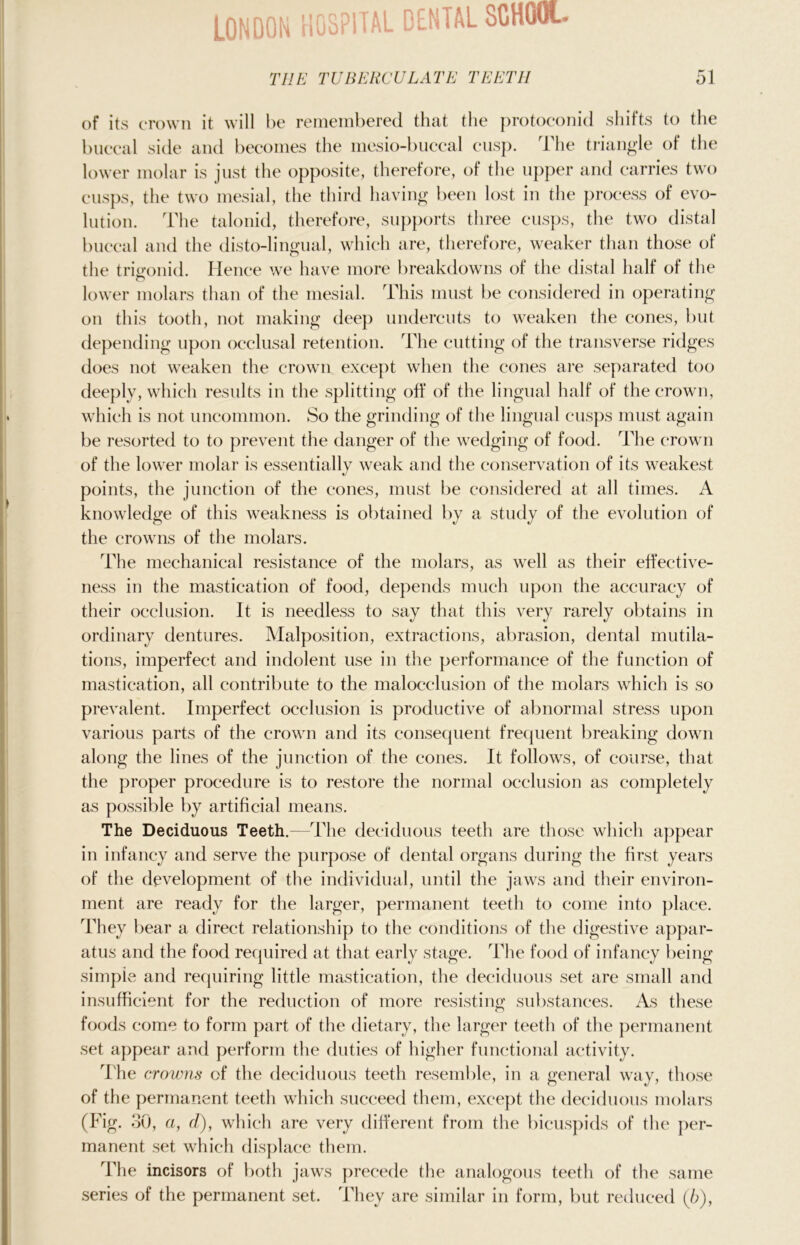 LONDON HOSPITAL DENTAL SCHOOL THE TUBERCULATE TEETH 51 of its crown it will be remembered that the protoconid shifts to the buccal side and becomes the mesio-buccal cusp. The triangle of the lower molar is just the opposite, therefore, of the upper and carries two cusps, the two mesial, the third having been lost in the process of evo- lution. The talonid, therefore, supports three cusps, the two distal buccal and the disto-lingual, which are, therefore, weaker than those of the trigonid. Hence we have more breakdowns of the distal half of the lower molars than of the mesial. This must be considered in operating on this tooth, not making deep undercuts to weaken the cones, but depending upon occlusal retention. The cutting of the transverse ridges does not weaken the crown except when the cones are separated too deeply, which results in the splitting off of the lingual half of the crown, which is not uncommon. So the grinding of the lingual cusps must again be resorted to to prevent the danger of the wedging of food. The crown of the lower molar is essentially weak and the conservation of its weakest points, the junction of the cones, must be considered at all times. A knowledge of this weakness is obtained by a study of the evolution of the crowns of the molars. The mechanical resistance of the molars, as well as their effective- ness in the mastication of food, depends much upon the accuracy of their occlusion. It is needless to say that this very rarely obtains in ordinary dentures. Malposition, extractions, abrasion, dental mutila- tions, imperfect and indolent use in the performance of the function of mastication, all contribute to the malocclusion of the molars which is so prevalent. Imperfect occlusion is productive of abnormal stress upon various parts of the crown and its consequent frequent breaking down along the lines of the junction of the cones. It follows, of course, that the proper procedure is to restore the normal occlusion as completely as possible by artificial means. The Deciduous Teeth.—The deciduous teeth are those which appear in infancy and serve the purpose of dental organs during the first years of the development of the individual, until the jaws and their environ- ment are ready for the larger, permanent teeth to come into place. They bear a direct relationship to the conditions of the digestive appar- atus and the food required at that early stage. The food of infancy being simple and requiring little mastication, the deciduous set are small and insufficient for the reduction of more resisting substances. As these foods come to form part of the dietary, the larger teeth of the permanent set appear and perform the duties of higher functional activity. The crowns of the deciduous teeth resemble, in a general way, those of the permanent teeth which succeed them, except the deciduous molars (Fig. 30, a, d), which are very different from the bicuspids of the per- manent set which displace them. The incisors of both jaws precede the analogous teeth of the same series of the permanent set. They are similar in form, but reduced (5),