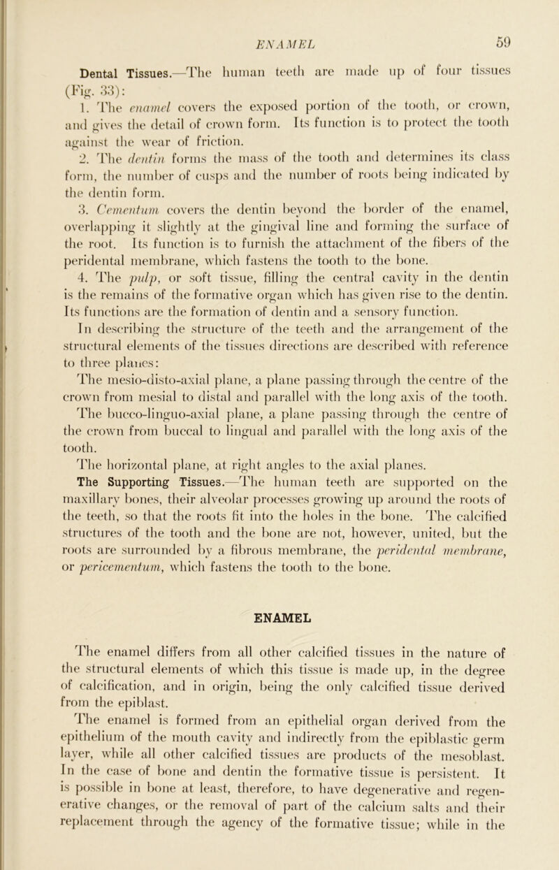 Dental Tissues.—The human teeth are made up of four tissues (Fig. 33): 1. The enamel covers the exposed portion of the tooth, or crown, and gives the detail of crown form. Its function is to protect the tooth o against the wear of friction. 2. The dentin forms die mass of the tooth and determines its class form, the number of cusps and the number of roots being indicated by the dentin form. 3. Cementum covers the dentin beyond the border of the enamel, overlapping it slightly at the gingival line and forming the surface of the root. Its function is to furnish the attachment of the fibers of the peridental membrane, which fastens the tooth to the bone. 4. The pulp, or soft tissue, filling the central cavity in the dentin is the remains of the formative organ which has given rise to the dentin. Its functions are the formation of dentin and a sensory function. In describing the structure of the teeth and the arrangement of the structural elements of the tissues directions are described with reference to three planes: The mesio-disto-axial plane, a plane passing through the centre of the crown from mesial to distal and parallel with the long axis of the tooth. The bucco-lingno-axial plane, a plane passing through the centre of the crown from buccal to lingual and parallel with the long axis of the tooth. The horizontal plane, at right angles to the axial planes. The Supporting Tissues.—The human teeth are supported on the maxillary bones, their alveolar processes growing up around the roots of the teeth, so that the roots fit into the holes in the bone. The calcified structures of the tooth and the bone are not, however, united, but the roots are surrounded by a fibrous membrane, the peridental membrane, or pericementum, which fastens the tooth to the bone. ENAMEL The enamel differs from all other calcified tissues in the nature of the structural elements of which this tissue is made up, in the degree of calcification, and in origin, being the only calcified tissue derived from the epiblast. The enamel is formed from an epithelial organ derived from the epithelium of the mouth cavity and indirectly from the epiblastic germ layer, while all other calcified tissues are products of the mesoblast. In the case of bone and dentin the formative tissue is persistent. It is possible in bone at least, therefore, to have degenerative and regen- erative changes, or the removal of part of the calcium salts and their replacement through the agency of the formative tissue; while in the