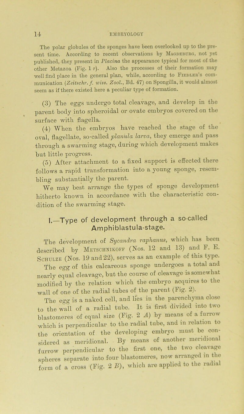 The polar globules of the sponges have been overlooked up to the pre- sent time. According to recent observations by Magdeburg, not yet publislied, they present in Placina the appearance typical for most of the other Metazoa (Fig. 1 r). Also the processes of their formation may well find place in the general plan, while, according to Fiedleb’s com- munication (Zeitschr.f. wiss. Zool., Bd. 47) on Spongilla, it would almost seem as if there existed here a peculiar type of formation. (3) The eggs undergo total cleavage, and develop in the parent hody into spheroidal or ovate embryos covered on the snrface with flagella. (4) When the embryos have reaclied the stage of the oval, flagellate, so-called planula larva, they emerge and pass through a swarming stage, during which development makes hut little progress. (5) After attachment to a fixed Support is effected there follows a rapid transformation into a young sponge, resem- bling substantially the parent. We may best arrange the types of sponge development hitherto known in accordance with the characteristic con- dition of the swarming stage. I, Type of development through a so-called Am phi blastu la-stage. The development of Sycandra raphanus, which has been described by Metschnikoff (Nos. 12 and 13) and F. E. Schulze (Nos. 19 and 22), serves as an example of this type. The egg of this calcareous sponge undergoes a total and nearly eqnal cleavage, but the course of cleavage issomewhat modified by the relation which the embryo acquires to the wall of one of the radial tubes of the parent (Fig. 2). The egg is a naked cell, and lies in the parenchyma close to the wall of a radial tube. It is first divided into two blastomeres of eqnal size (Fig. 2 Ä) by means of a furrow which is perpendicular to the radial tube, and in relation to the orientation of the developing embryo must be con- sidered as meridional. By means of another meridional furrow perpendicular to the first one, the two cleavage spheres separate into four blastomeres, now arranged m the form of a cross (Fig. 2 B), which are applied to the radial