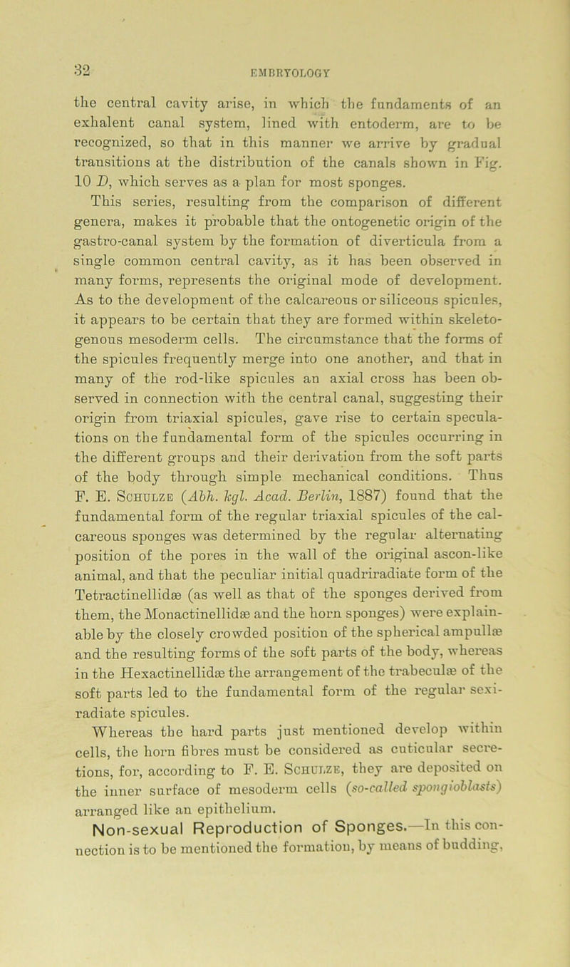 the central cavity arise, in which tlie fundaments of an exhalent canal System, lined with entoderm, are to be recognized, so that in this manner we arrive by gradual transitions at tbe distribntion of the canals shown in Fi^r. 10 D, which serves as a plan for most sponges. This series, resulting from the comparison of different genera, makes it probable that the ontogenetic origin of the gastro-canal System by the formation of diverticula from a single common central cavity, as it has been observed in many foi’ms, represents the original mode of development. As to the development of the calcareous orsiliceous spicules, it appears to be certain that they are formed within skeleto- genous mesoderm cells. The circumstance that the forms of the spicnles frequently merge into one another, and that in many of the rod-like spicules an axial cross has been ob- served in connection with the central canal, suggesting their origin from triaxial spicules, gave rise to certain specula- tions on the fundamental form of the spicules occurring in the different groups and their derivation from the soft parts of the body through simple mechanical conditions. Thus F. E. Schulze (Abh. hgl. Acad. Berlin, 1887) found that the fundamental form of the regulär triaxial spicules of the cal- careous sponges was determined by the regulär alternating position of the pores in the wall of the original ascon-like animal, and that the peculiar initial quadriradiate form of the Tetractinellidae (as well as that of the sponges derived from them, the Monactinellidse and the horn sponges) were explain- ableby the closely crowded position of the spherical ampullas and the resulting forms of the soft parts of the body, whereas in the Hexactinellidce the arrangement of the trabeculas of the soft parts led to the fundamental form of the regulär sexi- radiate spicules. Whereas the hard parts just mentioned develop within cells, the horn fibres must be considered as cuticular secre- tions, for, according to F. E. Schulze, they are deposited on the inner surfaee of mesoderm cells (so-called spongioblasts) arranged like an epithelium. Non-sexual Reproduction of Sponges.—In this con- nection is to be mentioned the formation, by means of budding,