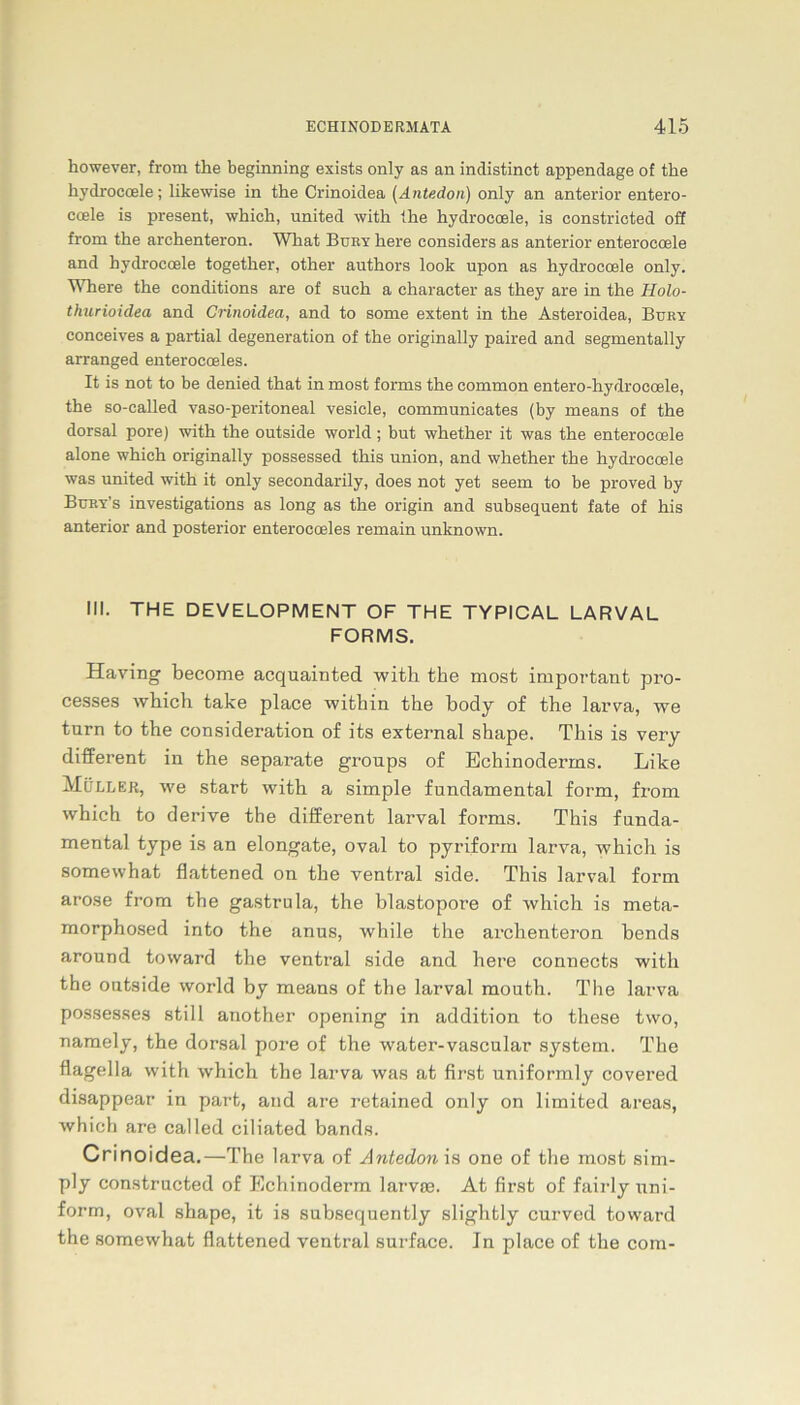 however, from the beginning exists only as an indistinct appendage of tbe hydrocoele; likewise in the Crinoidea (Antedon) only an anterior entero- coele is present, which, united with the hydrocoele, is constricted off from the archenteron. What Bury here considers as anterior enterocoele and hydrocoele together, other authors look upon as hydrocoele only. AVhere the conditions are of such a character as they are in the Holo- thurioidea and Crinoidea, and to some extent in the Asteroidea, Buky conceives a partial degeneration of the originally paired and segmentally arranged enterocoeles. It is not to be denied that in most forms the common entero-hydroeoele, the so-called vaso-peritoneal vesicle, communicates (by means of the dorsal pore) with the outside world; but whether it was the enterocoele alone which originally possessed this Union, and whether the hydrocoele was united with it only secondarily, does not yet seem to be proved by Büey's investigations as long as the origin and subsequent fate of his anterior and posterior enterocoeles remain unknown. III. THE DEVELOPMENT OF THE TYPICAL LARVAL FORMS. Having become acquainted with the most important pro- cesses which take place witkin the body of the larva, we turn to the consideration of its external shape. This is very different in the separate groups of Echinoderms. Like Müller, we Start with a simple fundamental form, from which to derive the different larval forms. This funda- mental type is an elongate, oval to pyriform larva, which is some what flattened on the ventral side. This larval form arose from the gastrula, the blastopore of which is meta- morphosed into the anus, while the archenteron hends around toward the ventral side and here connects with the ontside world by means of the larval mouth. The larva possesses still another opening in addition to these two, namely, the dorsal pore of the water-vascular System. The flagella with which the larva was at first uniformly covered disappear in part, and are retained only on limited areas, which are called ciliated bands. Crinoidea.—The larva of Antedon is one of the most sim- ply constructed of Echinoderm larvm. At first of fairly itni- forrn, oval shape, it is subsequently slightly curved toward the somewhat flattened ventral surface. In place of the com-