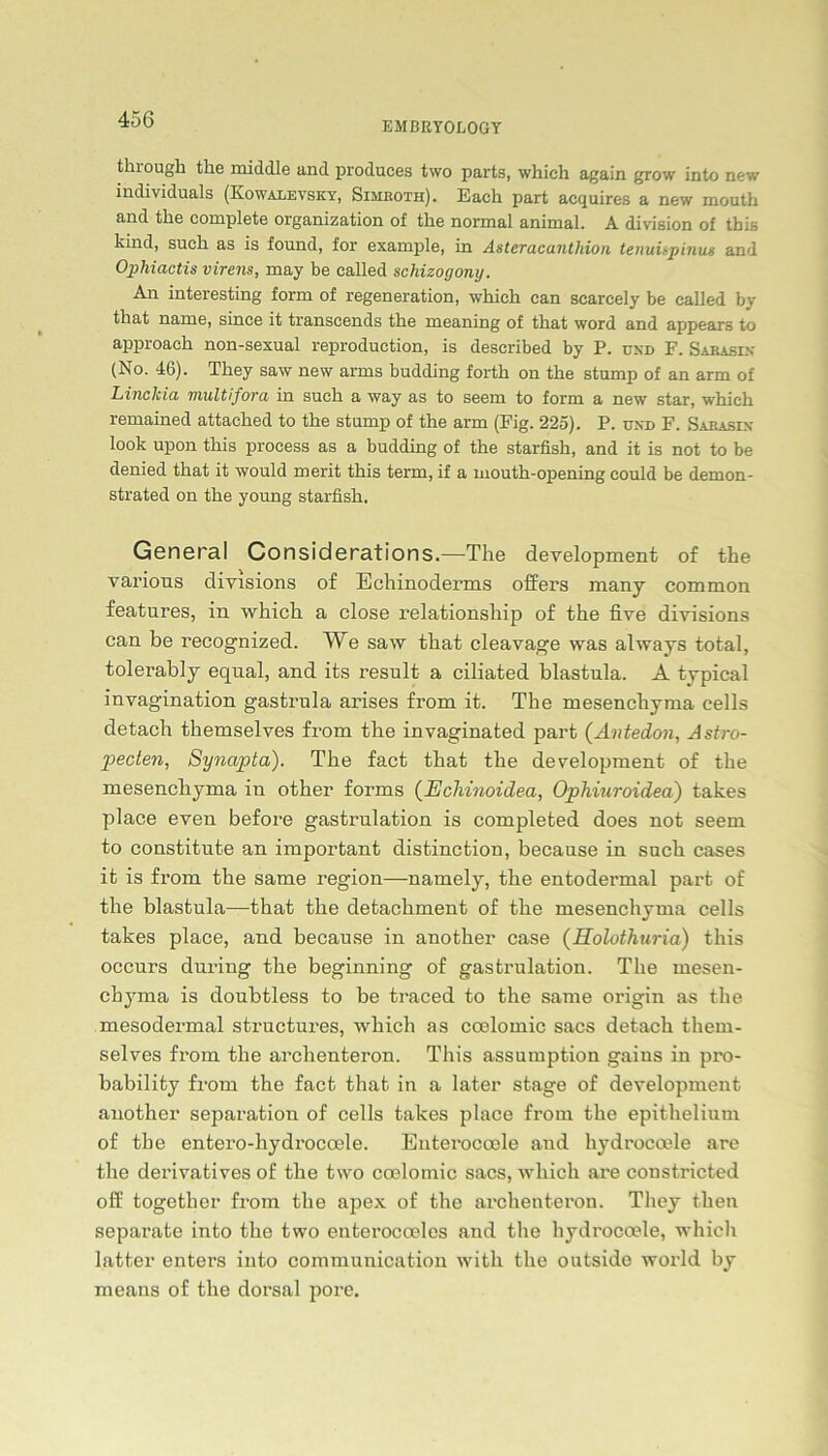 EMBEYOLOGY tlnougb tlie middle and produces two parts, which again grow into new individuals (Kowalevsky, Simroth). Each part acquires a new mouth and tlie complete Organization of the normal animal. A division of tbis kind, such as is found, for example, in Asteracanthion tenuispinus and Opliiactis virens, may be called schizogony. An interesting form of regeneration, which can scarcely be called by that name, since it transcends the meaning of that word and appears to approach non-sexual reproduction, is described by P. und F. Sxrasix (No. 46). They saw new arms budding forth on the stump of an arm of LincJcia multifora in such a way as to seem to form a new star, which remained attached to the stump of the arm (Fig. 225). P. und F. Sabasix l°°k upon this process as a budding of the starfish, and it is not to be denied that it would merit this term, if a mouth-opening could be demon- strated on the young starfish. General Considerations.—The development of the various divisions of Echinoderms offers many common features, in which a close relationship of the five divisions can be recognized. We saw that cleavage was always total, tolerably eqnal, and its result a ciliated blastula. A typical invagination gastrula arises from it. The mesenchyma cells detach themselves from the invaginated part (Antedon, Astro- pecten, Synapta). The fact that the development of the mesenchyma in other forms (Echinoidea, Ophiuroidea) takes place even before gastrulation is completed does not seem to constitute an important distinction, because in such cases it is from the same region—namely, the entodermal part of the blastula—that the detachment of the mesenchyma cells takes place, and because in another case (Holothuria) this occurs during the beginning of gastrulation. The mesen- chyma is doubtless to be traced to the same origin as the mesodermal structures, which as ccelomic sacs detach them- selves from the archenteron. This assumption gains in pro- bability from the fact that in a later stage of development another Separation of cells takes place from the epitlielium of the entero-hydrocoele. Enteroccele and hydrocoele are the derivatives of the two ccelomic sacs, which are constricted off together from the apex of the archenteron. They then separate into the two enterocceles and the hydrocoele, which latter enters into communication with the outside world by means of the dorsal pore.