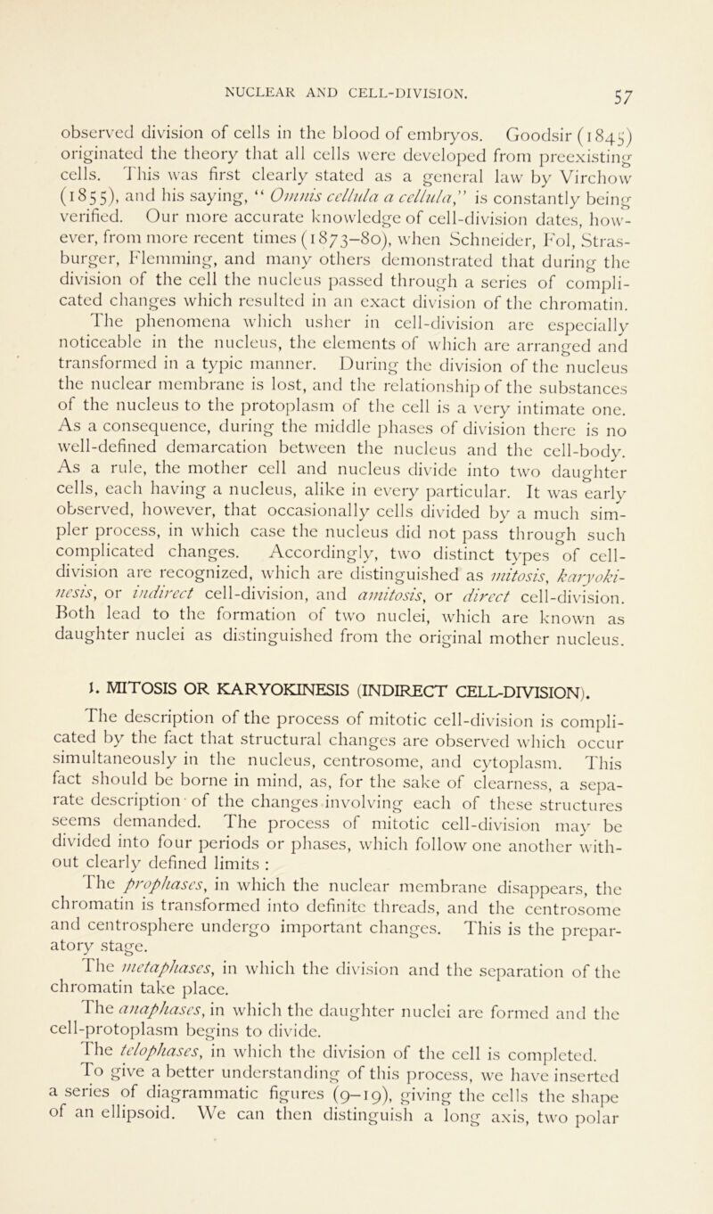 observed division of cells in the blood of embryos. Goodsir (1845) originated the theory that all cells were developed from preexisting cells. This was first clearly stated as a general law by Virchow (1855), and bis saying, “ Omnis cellula a cellula,” is constantly being verified. Our niore accurate knowledge of cell-division dates, how- ever, from more recent times (1873-80), when Schneider, Fol, Stras- burger, Flemming, and many others demonstrated that during the division of the cell the nucleus passed through a series of compli- cated changes which resulted in an exact division of the chromatin. The phenomena which usher in cell-division are especially noticeable in the nucleus, the elements of which are arranged and transformed in a typic manner. During the division of the nucleus the nuclear membrane is lost, and the relationship of the substances of the nucleus to the protoplasm of the cell is a very intimate one. As a consequence, during the middle phases of division there is no well-defined demarcation between the nucleus and the cell-body. As a rule, the mother cell and nucleus divide into two daughter cells, each having a nucleus, alike in every particular. It was early observed, however, that occasionally cells divided by a much sim- pler process, in which case the nucleus did not pass through such complicated changes. Accordingly, two distinct types of cell- division are recognized, which are distinguished as mitosis, karyoki- 7iesis, or indirect cell-division, and amitosis, or direct cell-division. Foth lead to the formation of two nuclei, which are known as daughter nuclei as distinguished from the original mother nucleus. F MITOSIS OR KARYOKINESIS (INDIRECT CELL-DIVISION). The description of the process of mitotic cell-division is compli- cated by the fact that structural changes are observed which occur simultaneously in the nucleus, centrosome, and cytoplasm. This fact should be borne in mind, as, for the sake of clearness, a sepa- rate description • of the changes involving each of these structures seems demanded. The process of mitotic cell-division may be divided into four periods or phases, which follow one another with- out clearly definecl limits : The prophases, in which the nuclear membrane disappears, the chromatin is transformed into definite threads, and the centrosome and centrosphere undergo important changes. This is the prepar- atory stage. The metaphascs, in which the division and the Separation of the chromatin take place. The anaphases, in which the daughter nuclei are formed and the cell-protoplasm begins to divide. The tclophases, in which the division of the cell is completed. To give a better understanding of this process, we have inserted a series of diagrammatic figures (9-19), giving the cells the shape of an ellipsoid. We can then distinguish a long axis, two polar